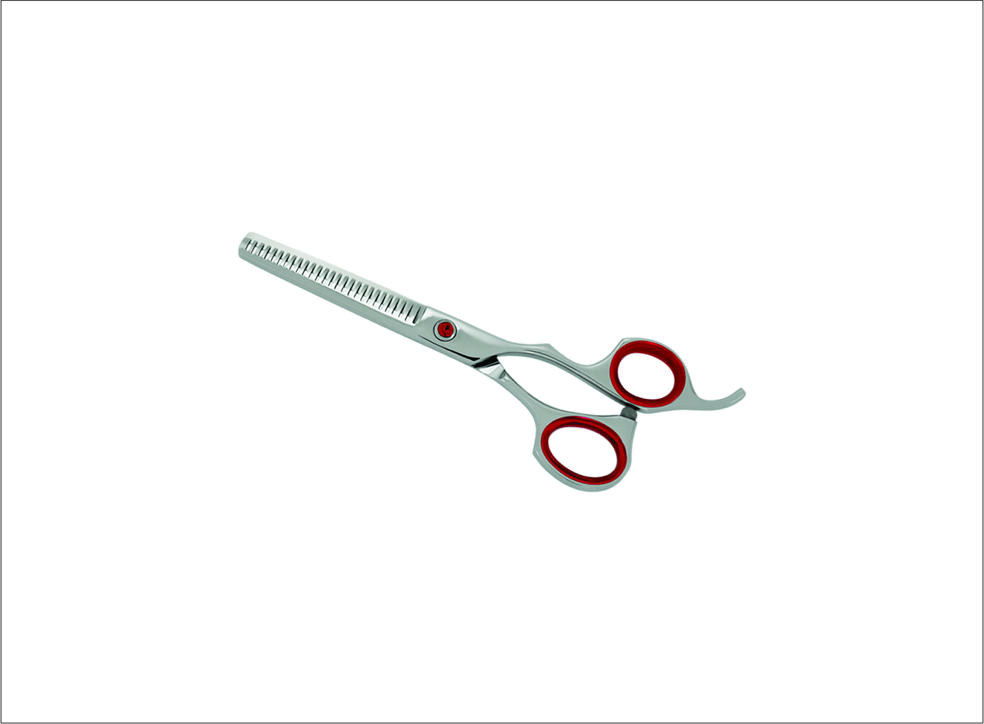 Professional Thinning Scissors