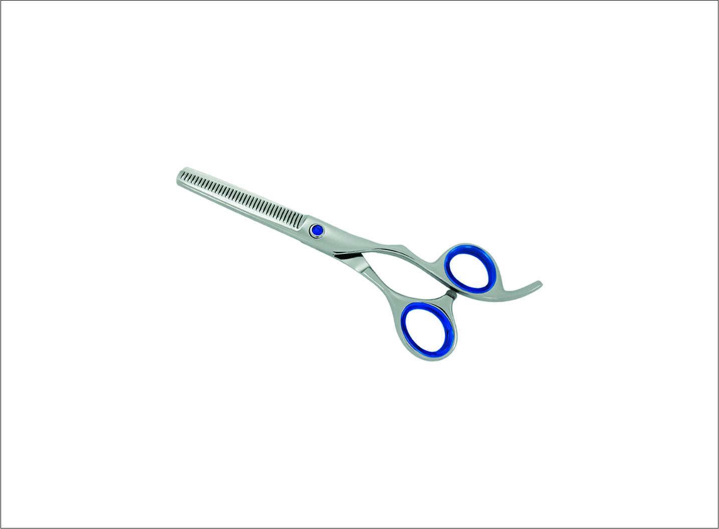 Professional Thinning Scissors