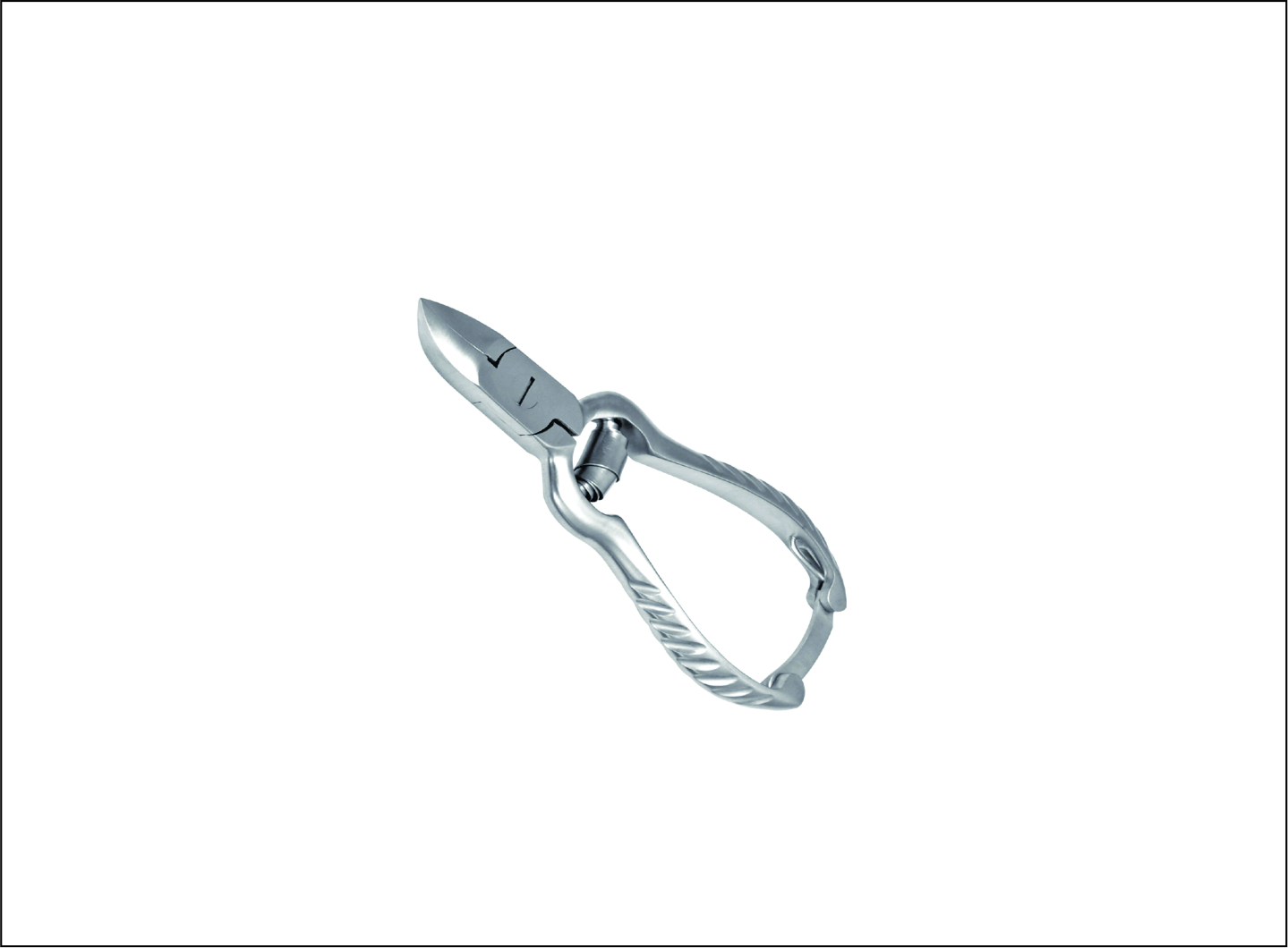 Toe Nail Cutter