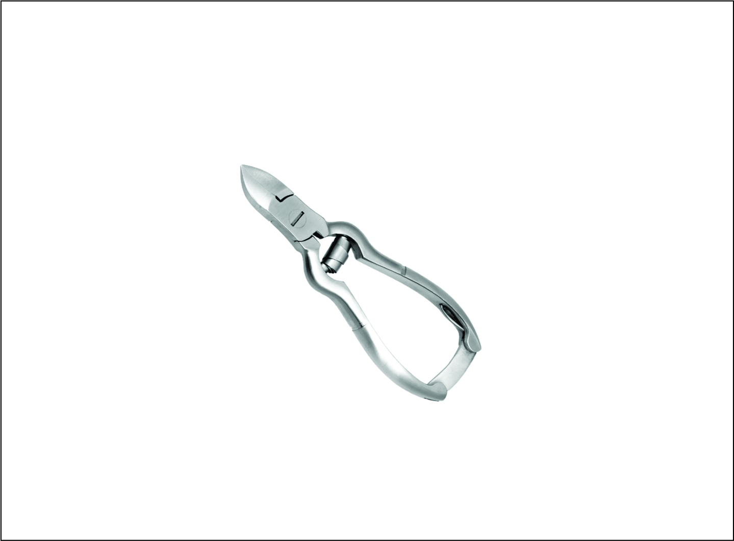 Toe Nail Cutter