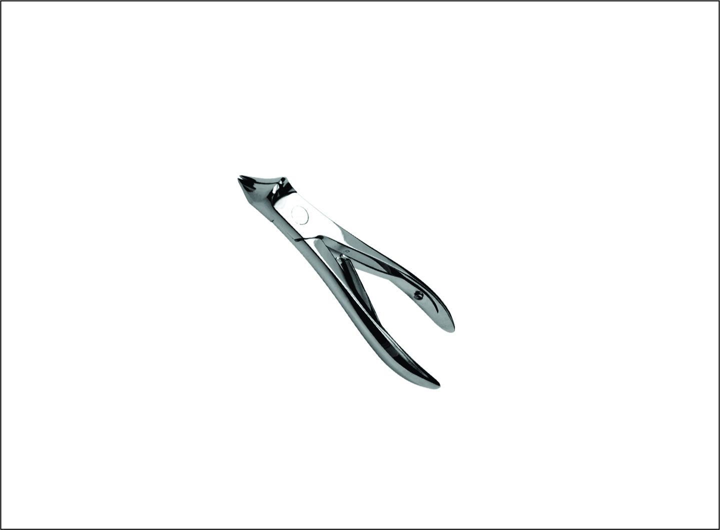 Toe Nail Cutter