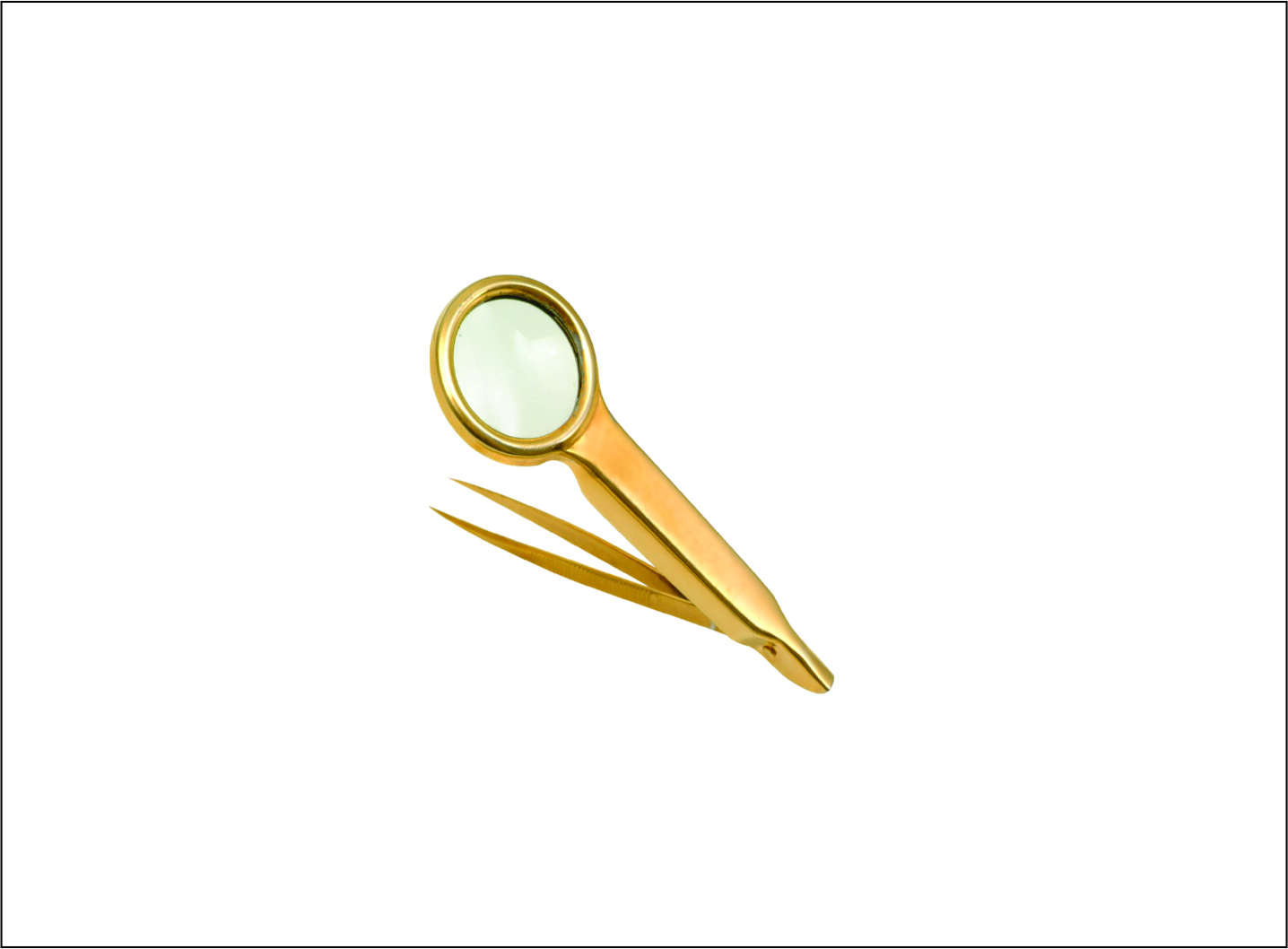 Magnifying Tweezers