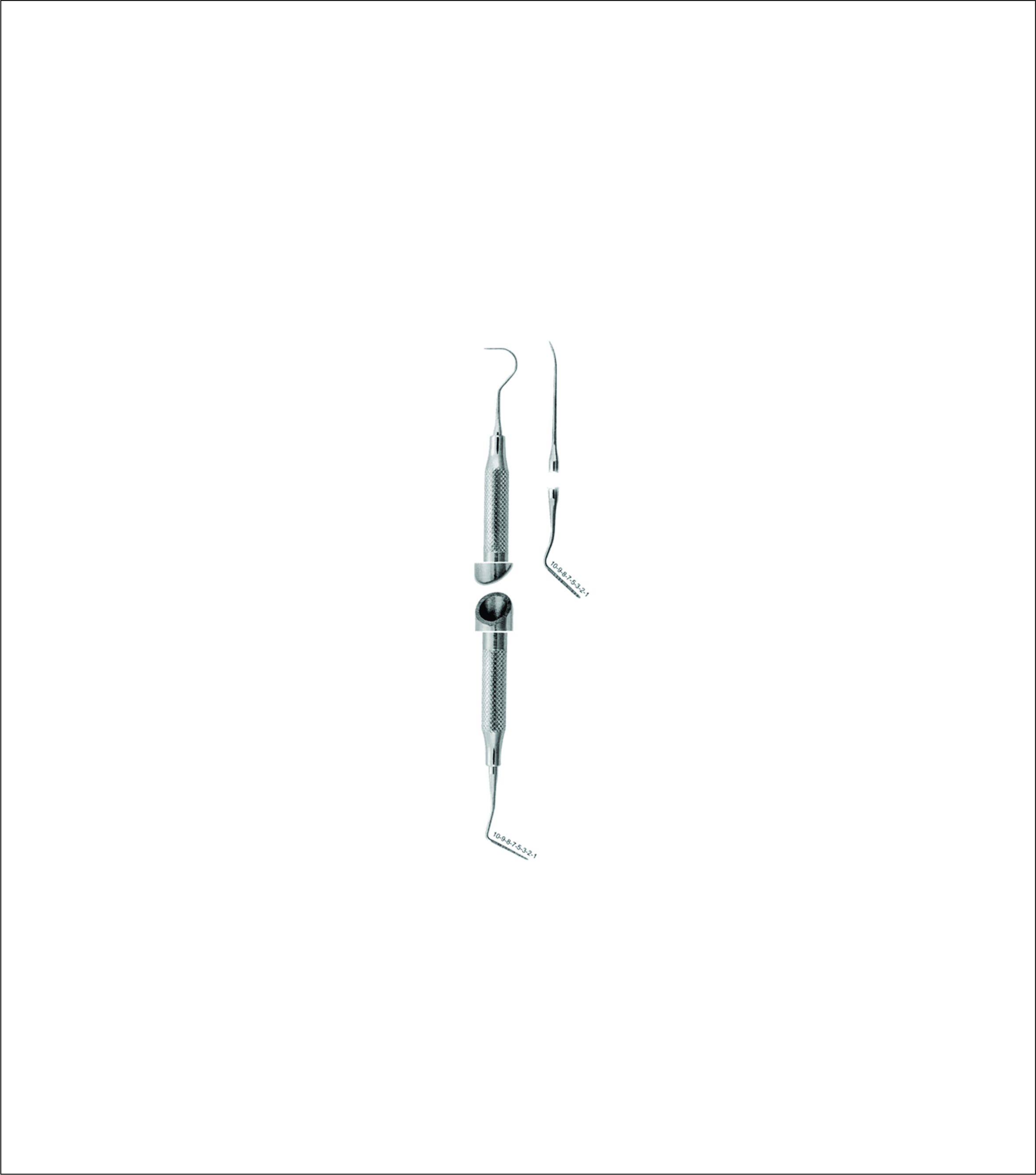 Combination Explorers Goldman-Fox Flat Tip