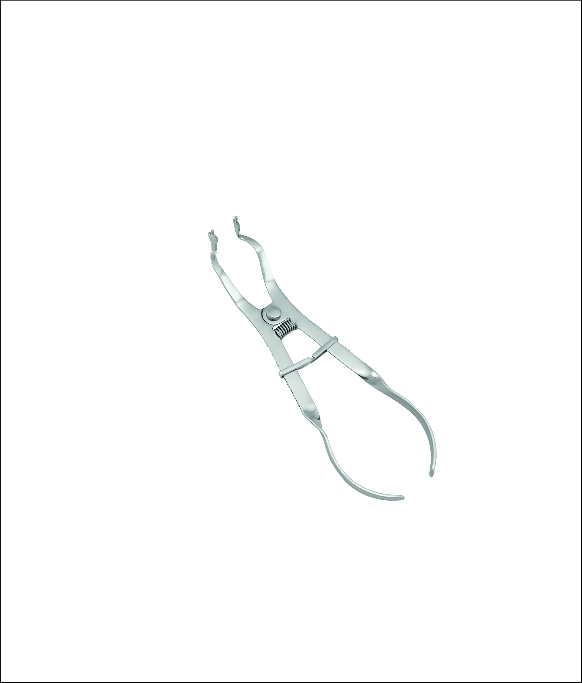 Ivory light Rubber Dam Clamp Forceps