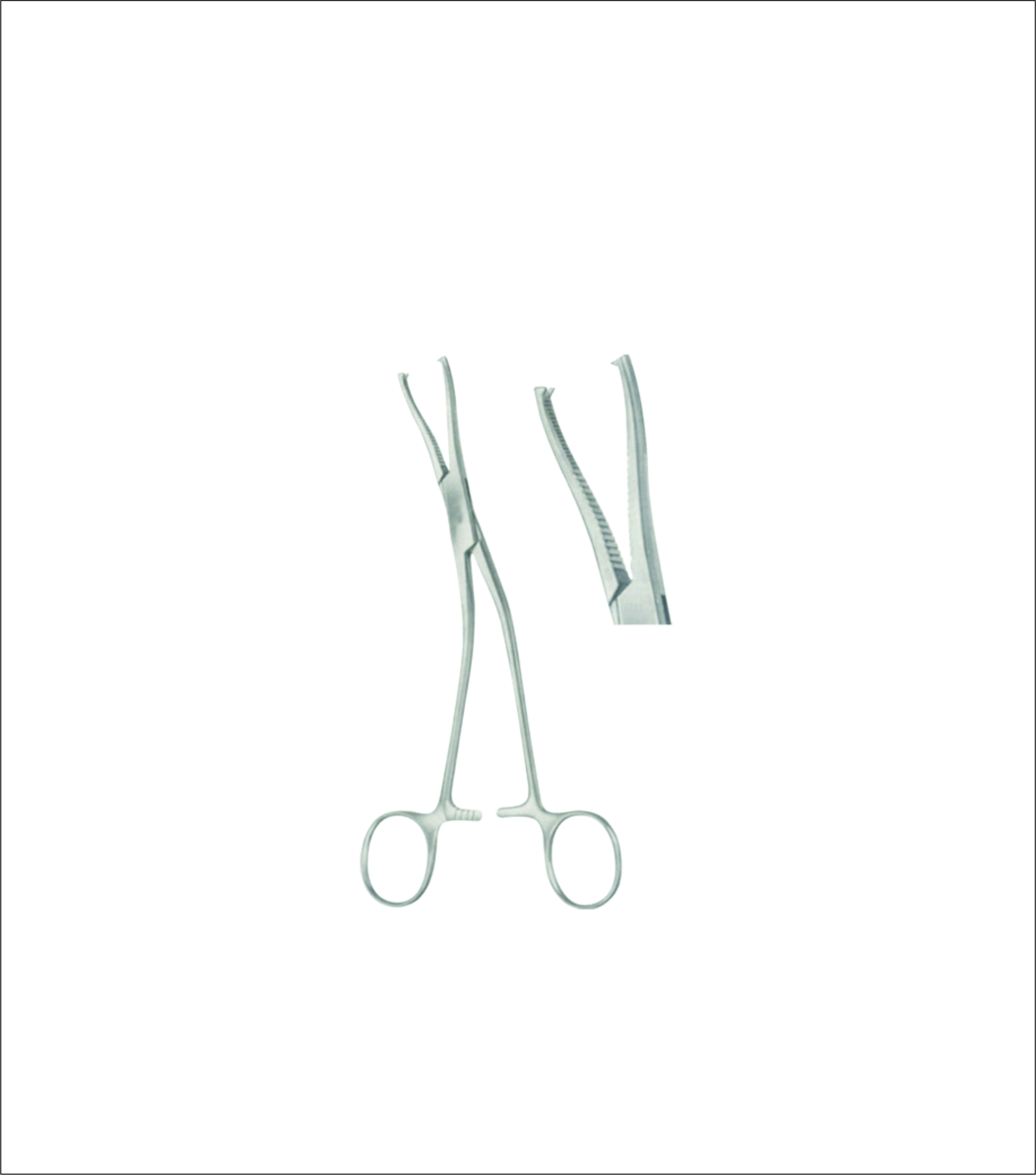 Bone Holding Forceps