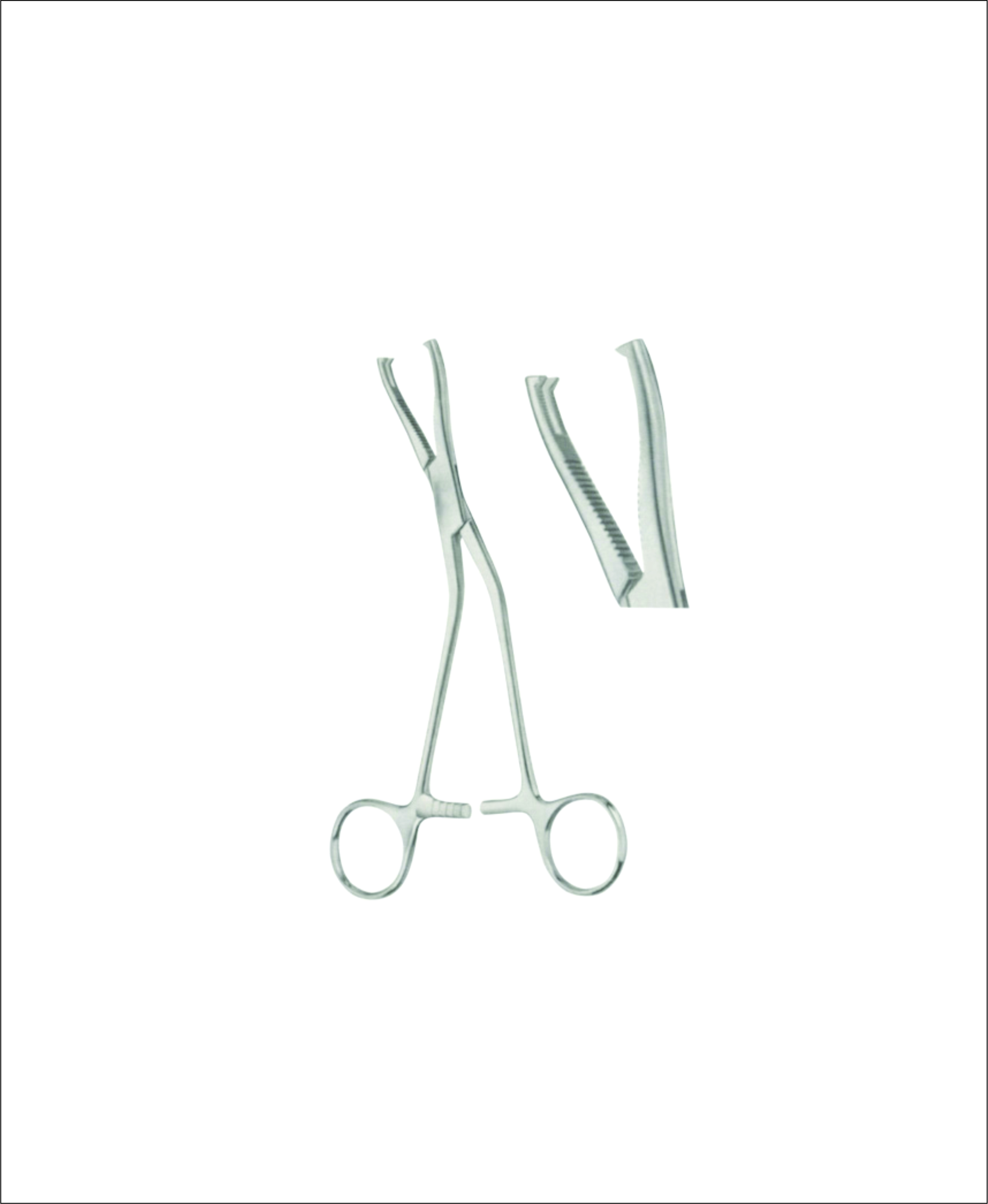 Bone Holding Forceps