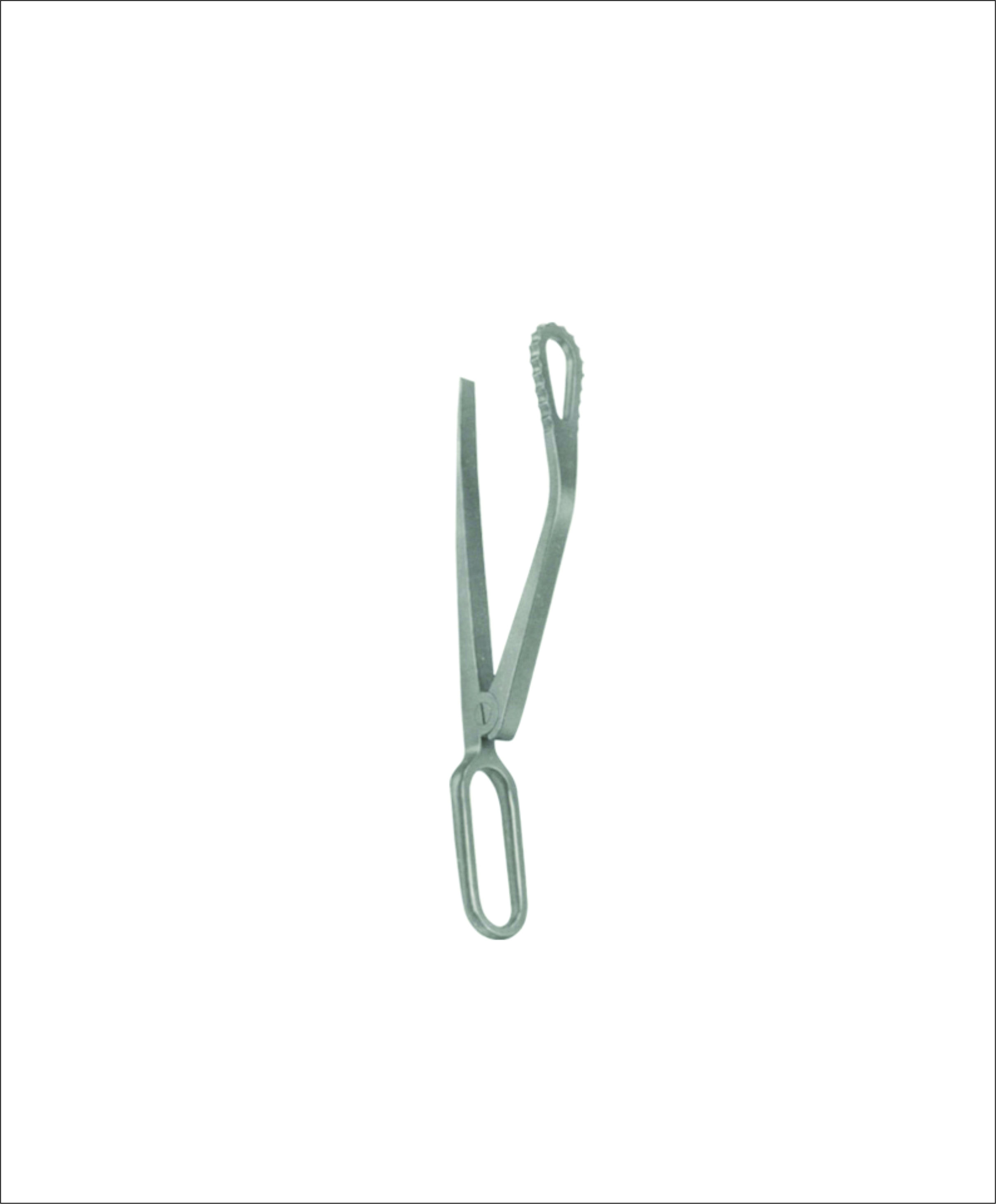 Bone Holding Forceps