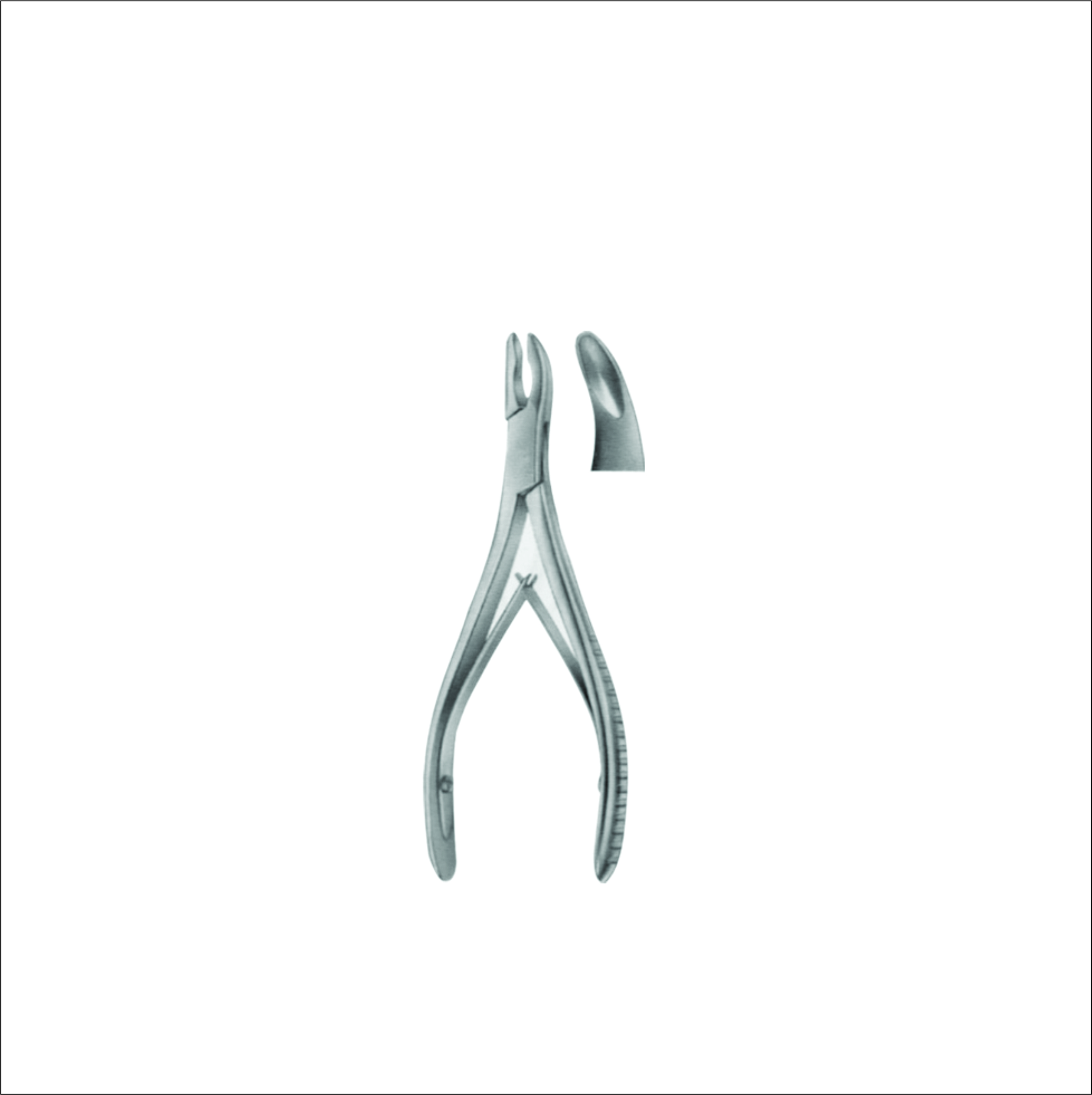 Bone Rongeurs
