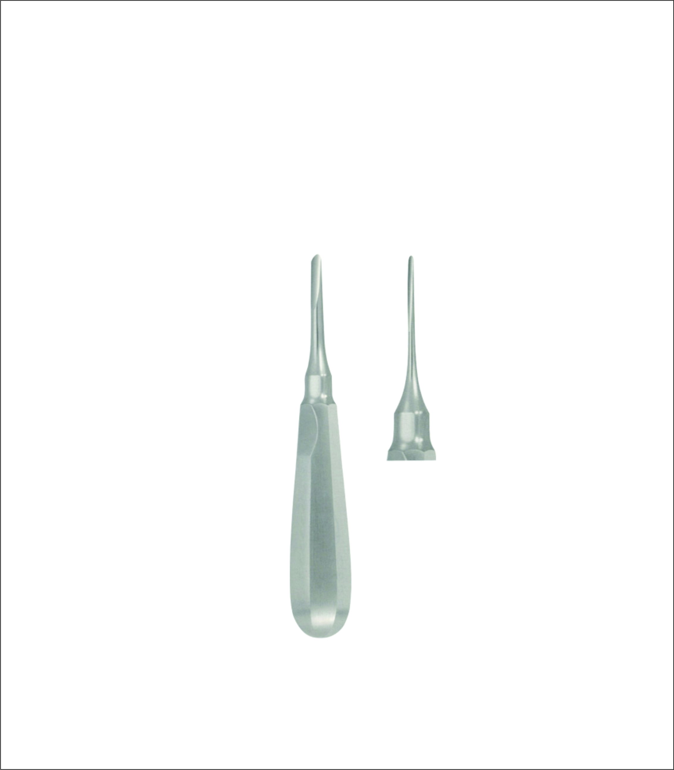 Dental Elevator