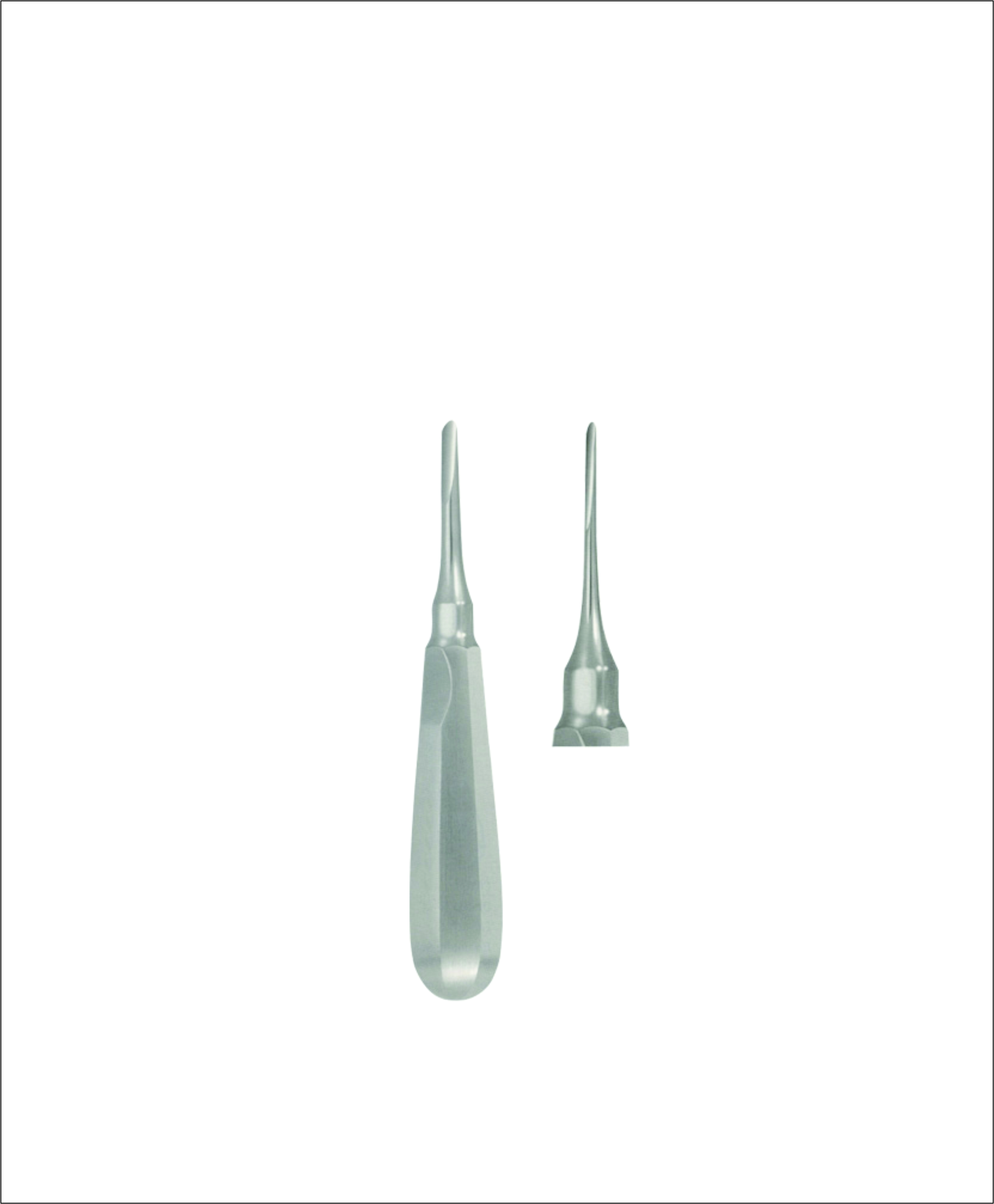 Dental Elevator