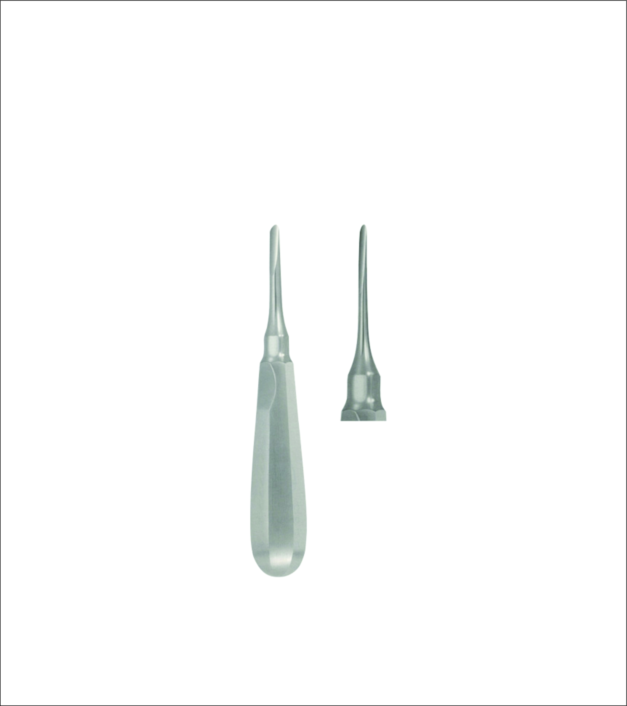 Dental Elevator