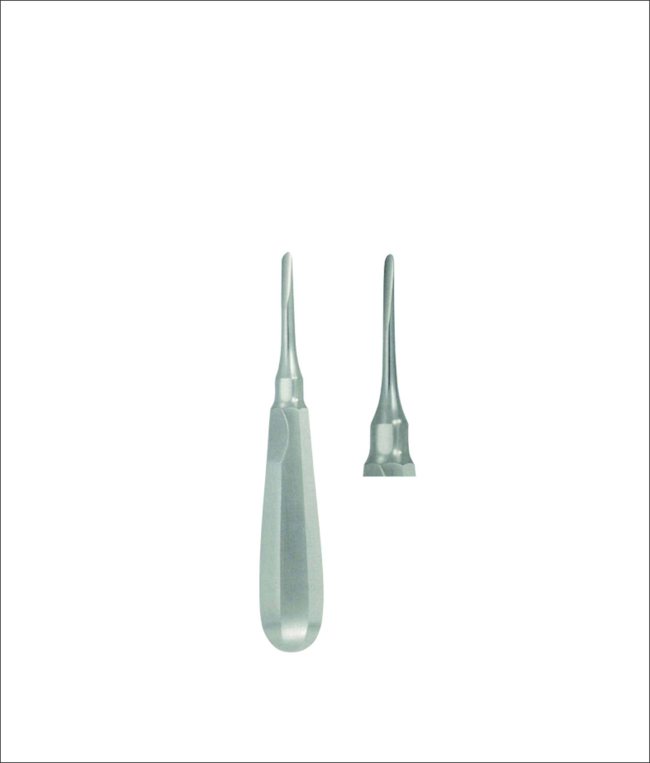 Dental Elevator
