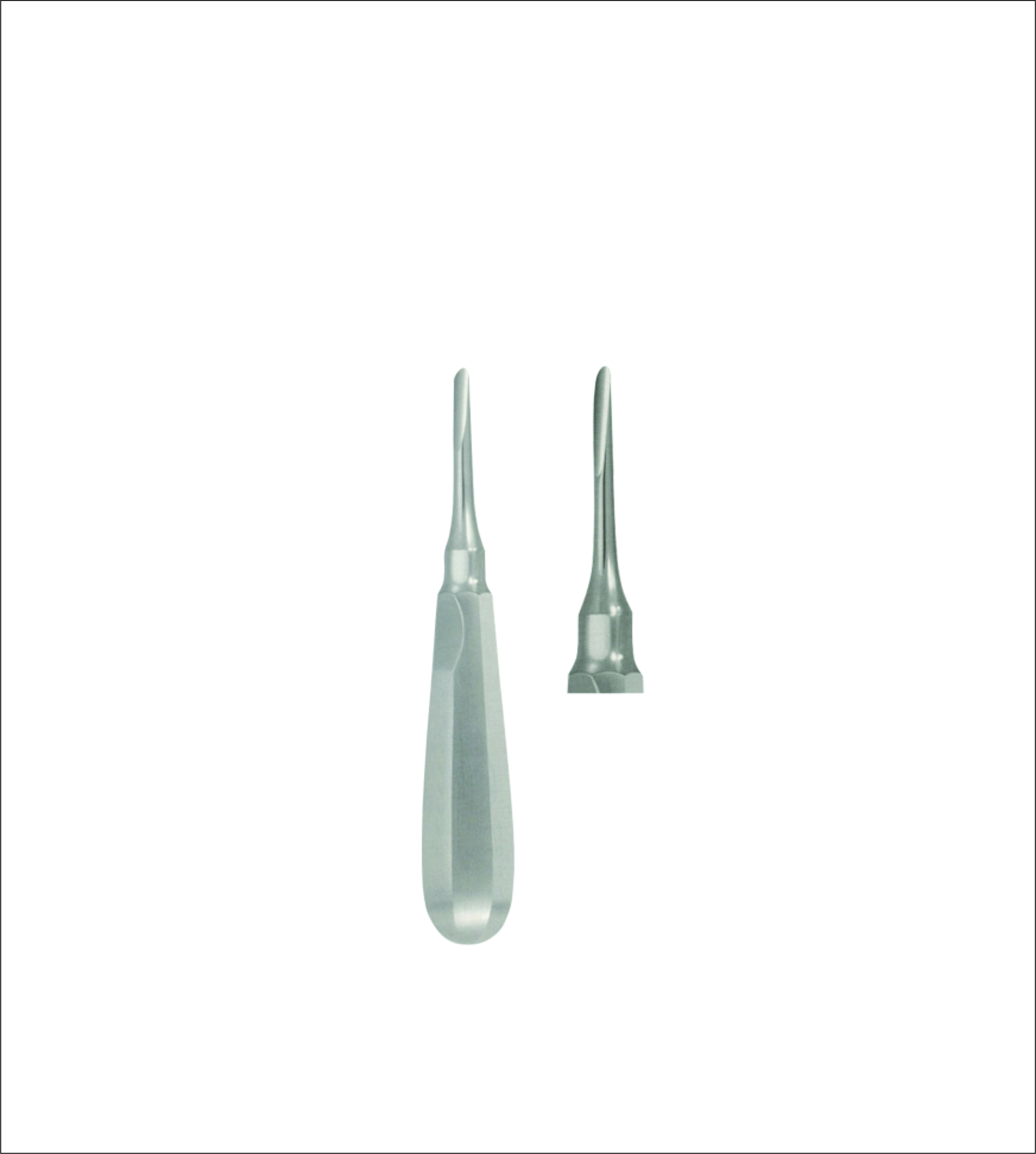 Dental Elevator