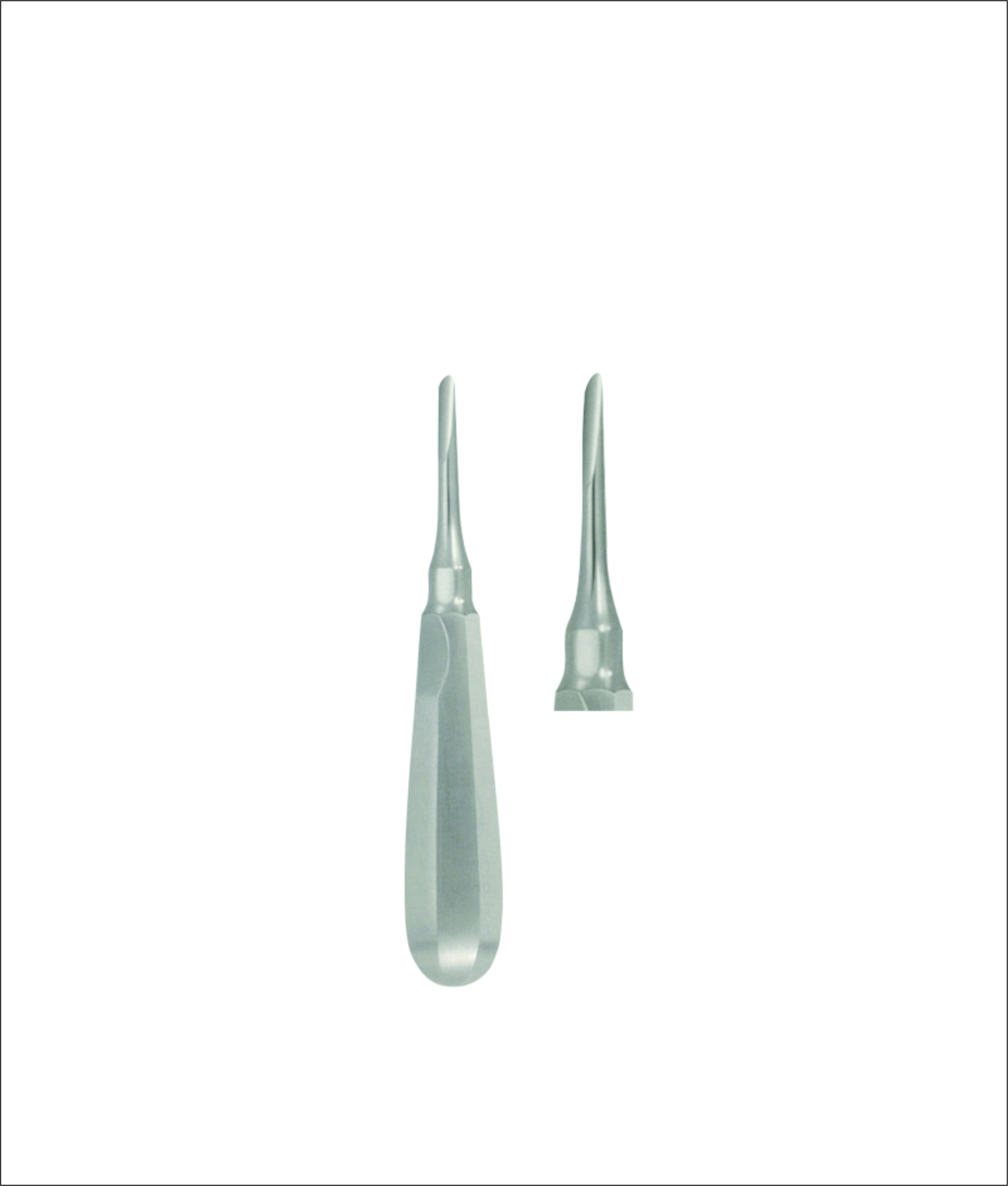 Dental Elevator