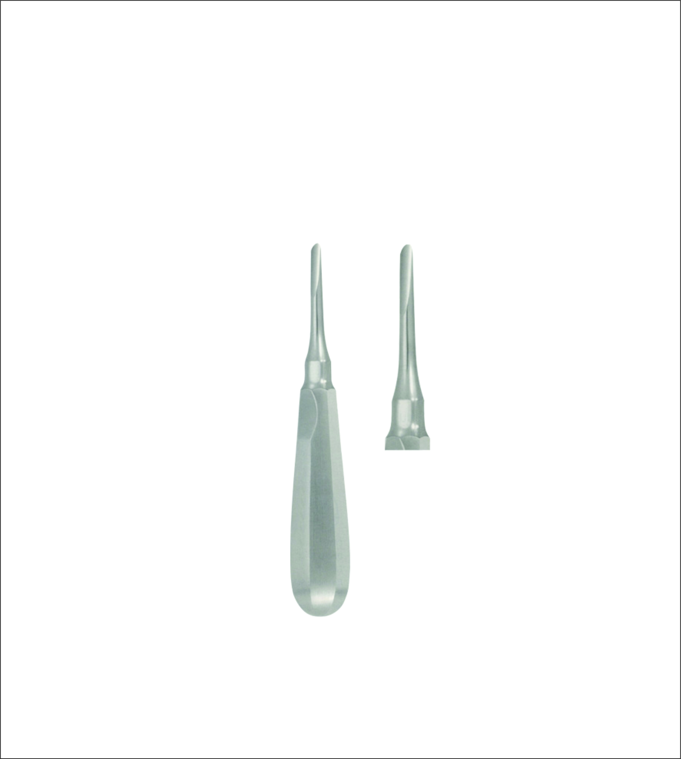 Dental Elevator