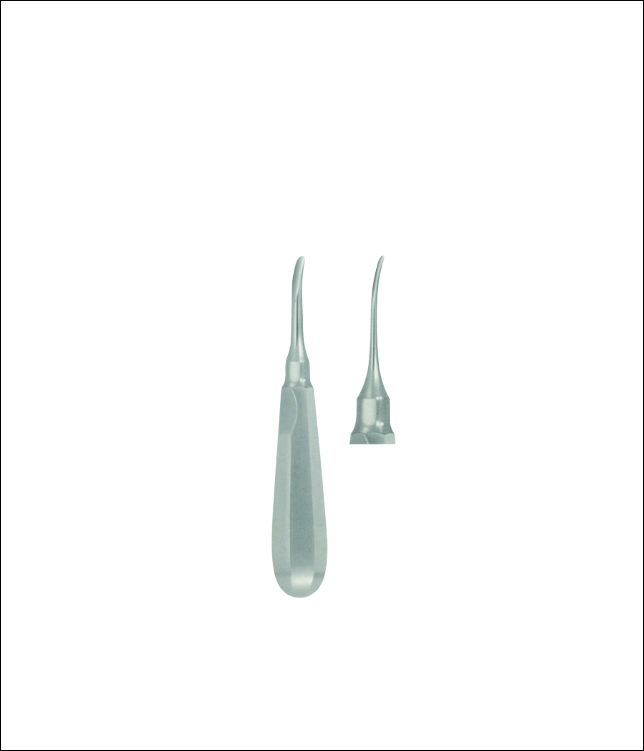 Dental Elevator