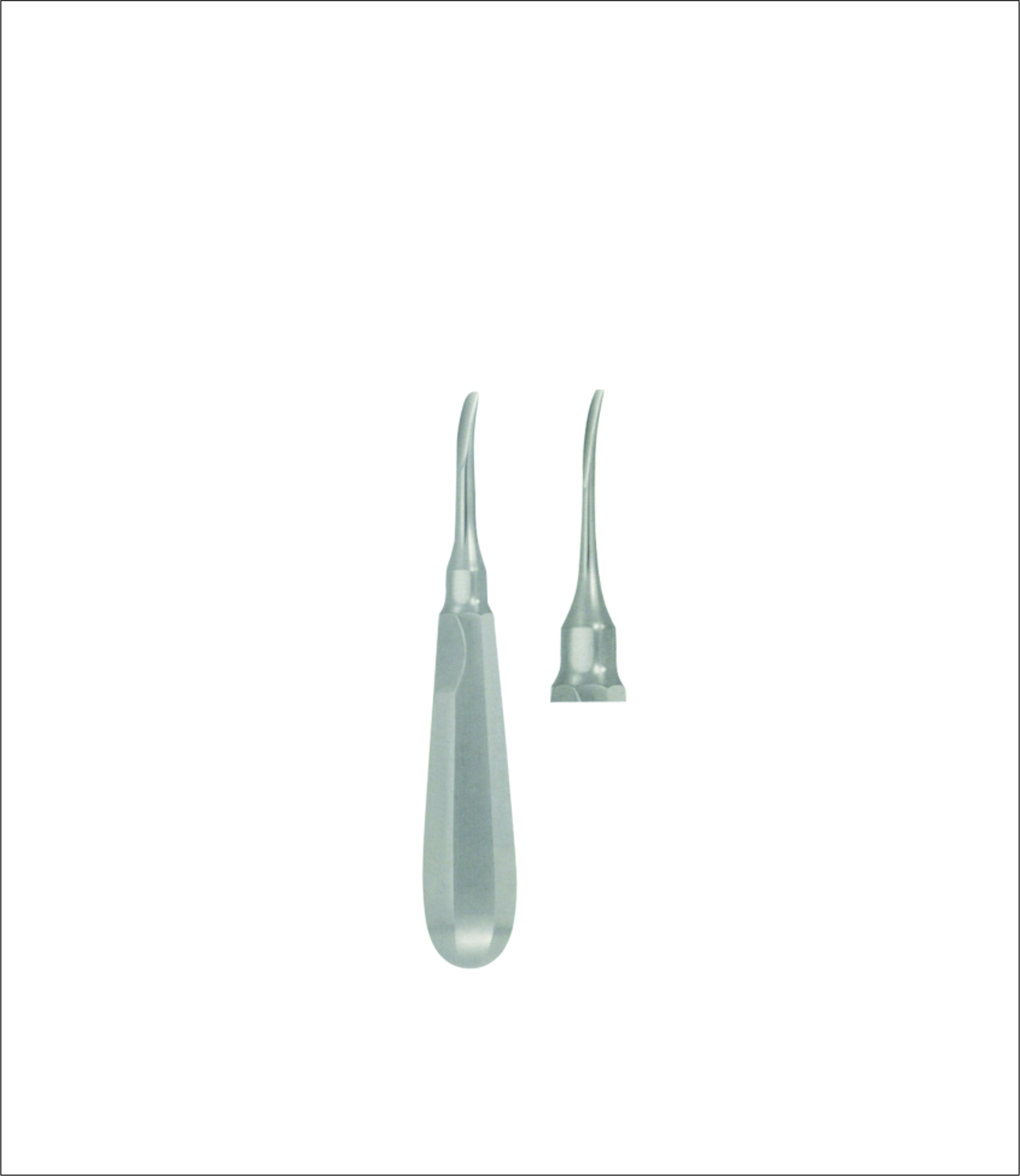 Dental Elevator