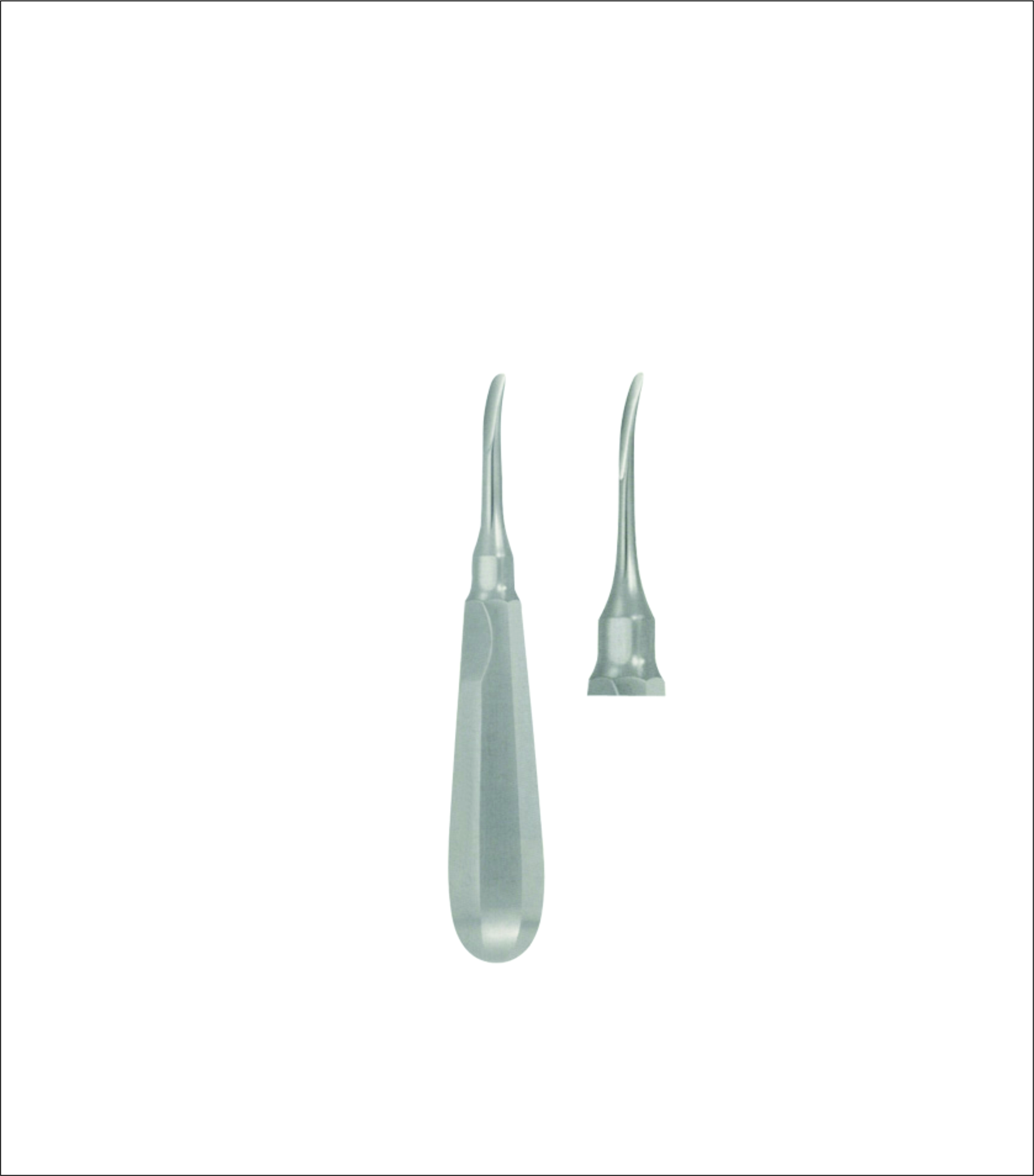 Dental Elevator