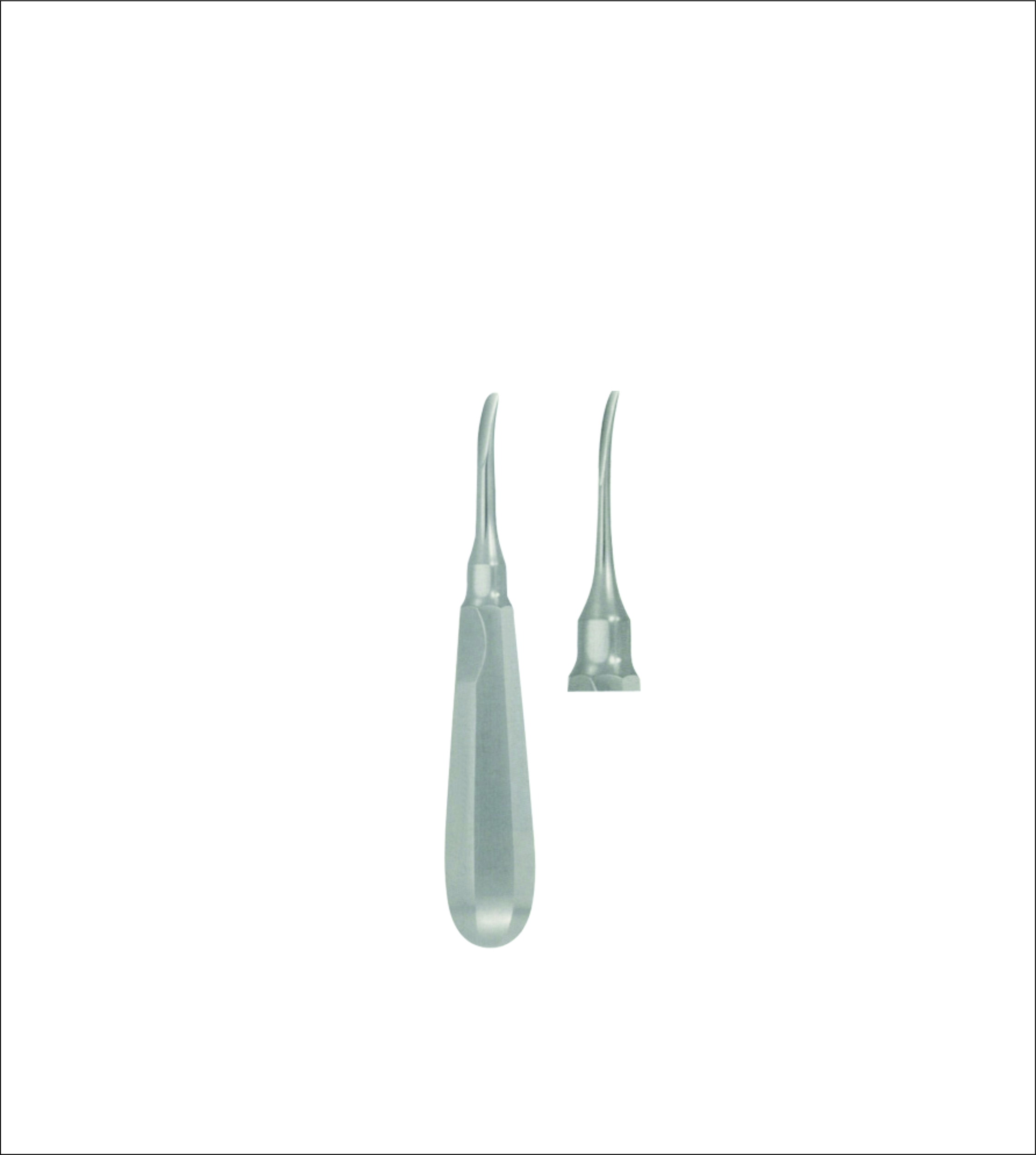 Dental Elevator
