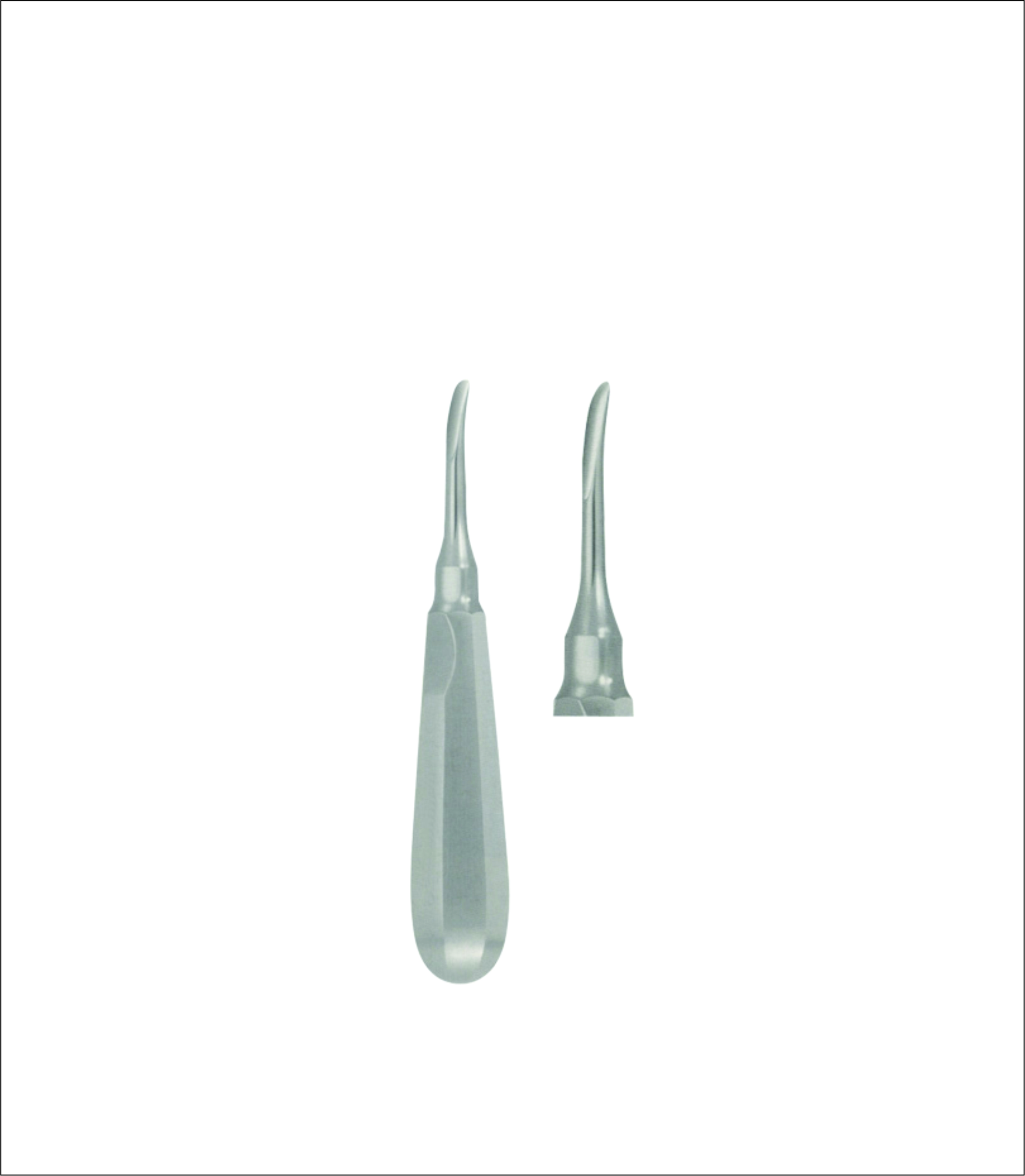 Dental Elevator