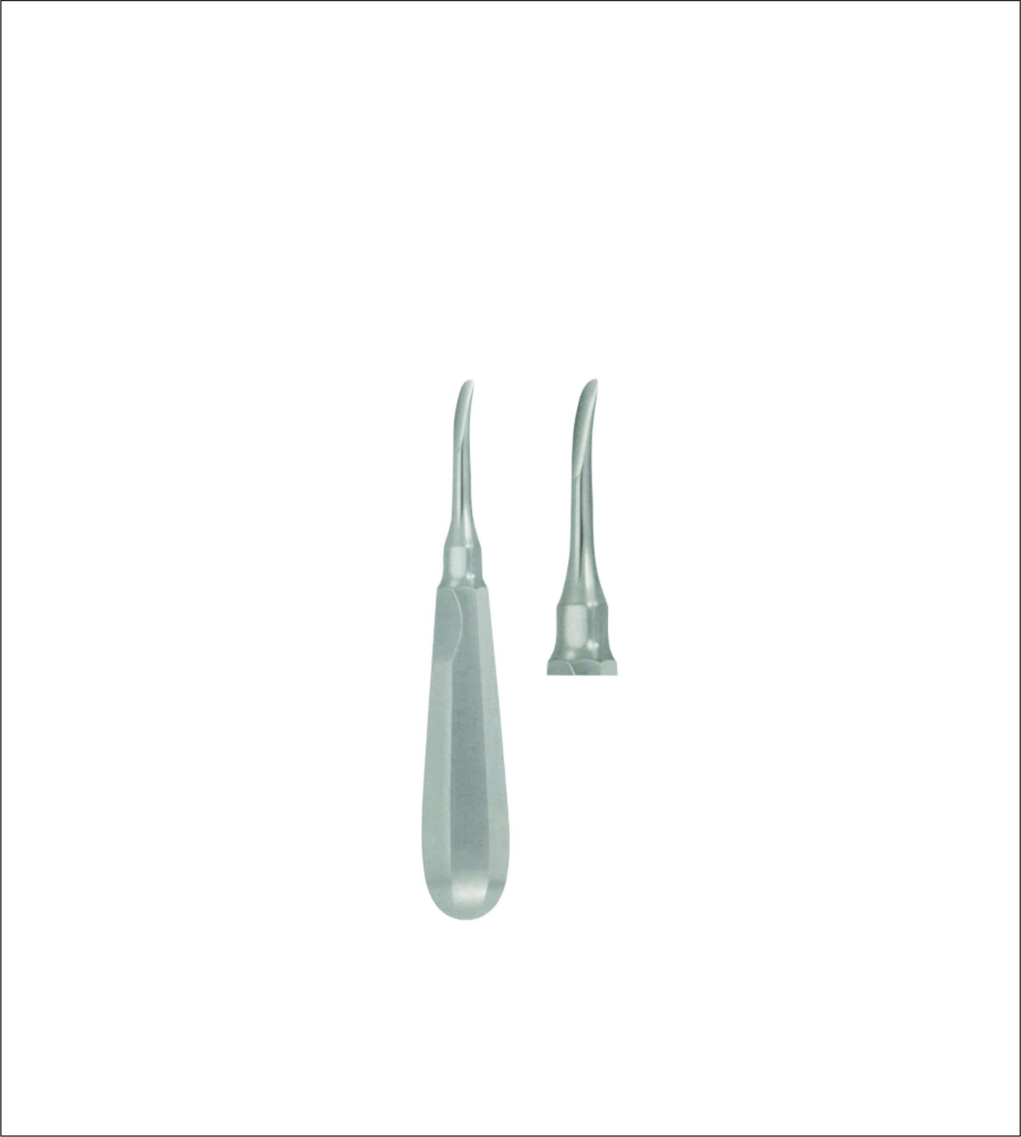 Dental Elevator