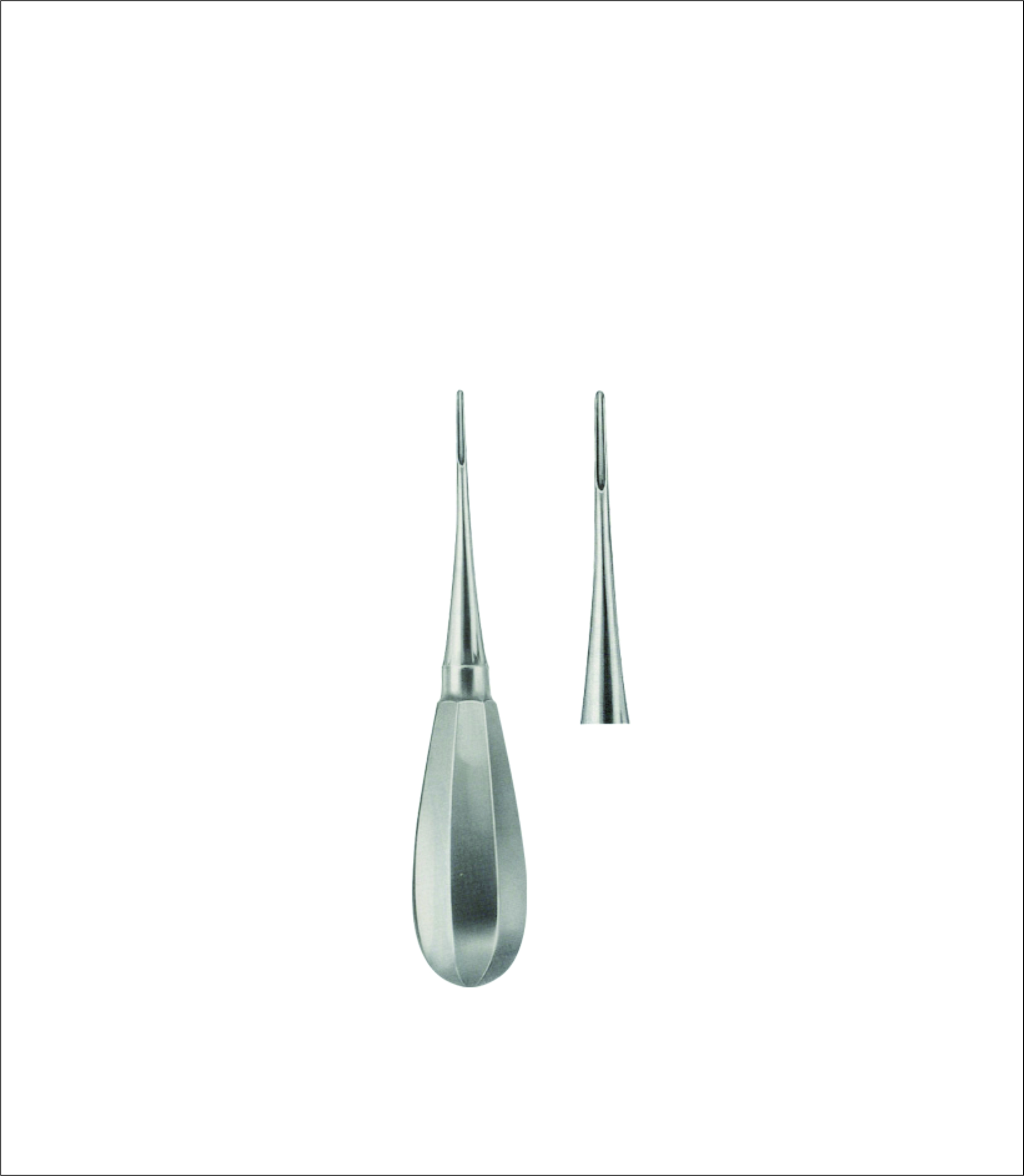 Dental Elevator