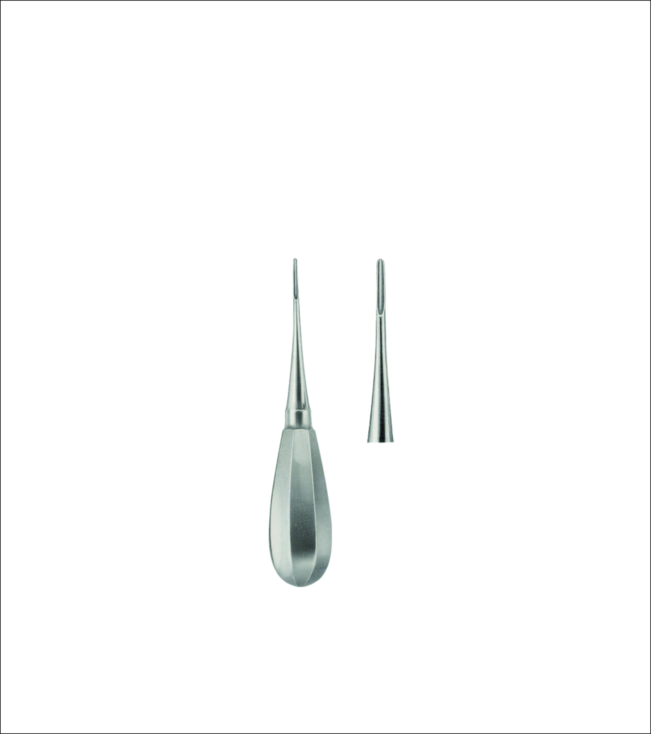 Dental Elevator
