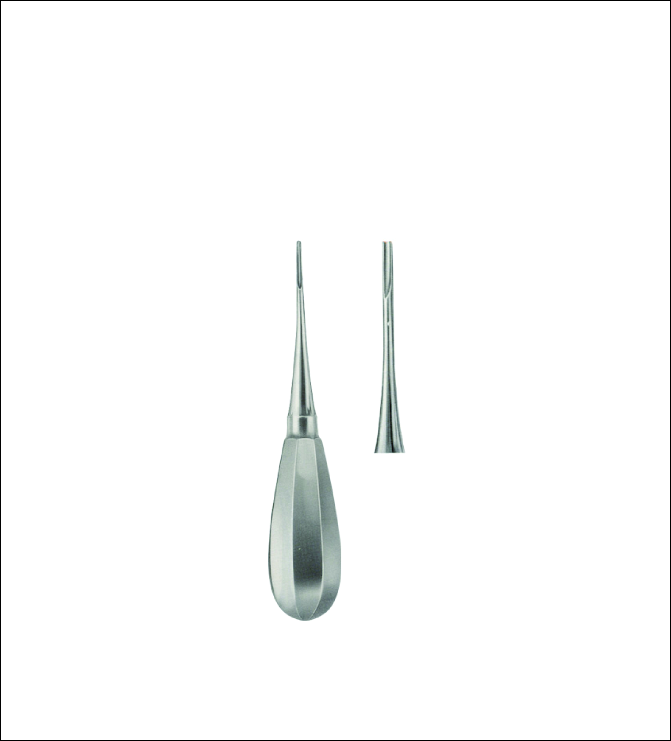 Dental Elevator