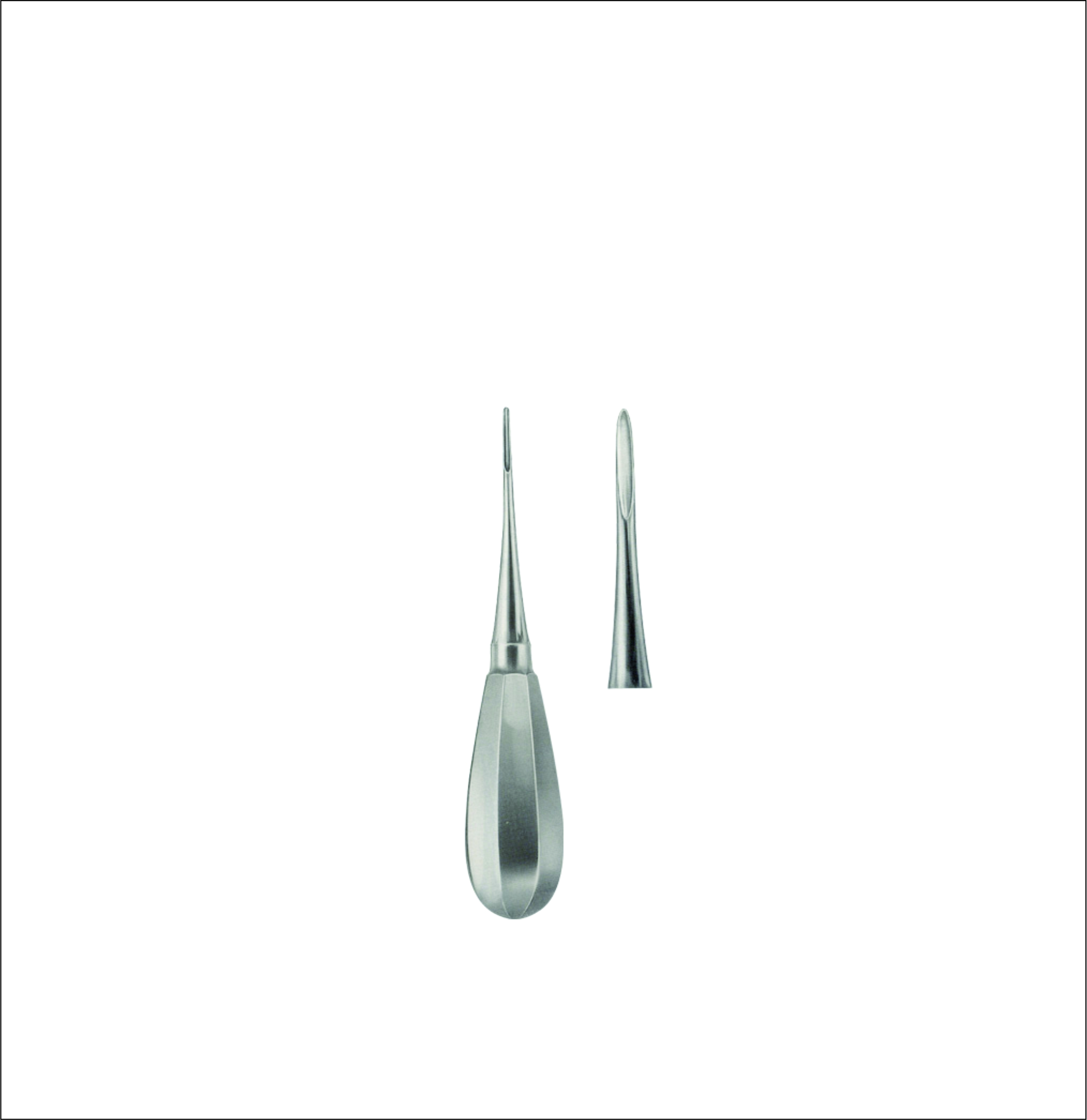 Dental Elevator