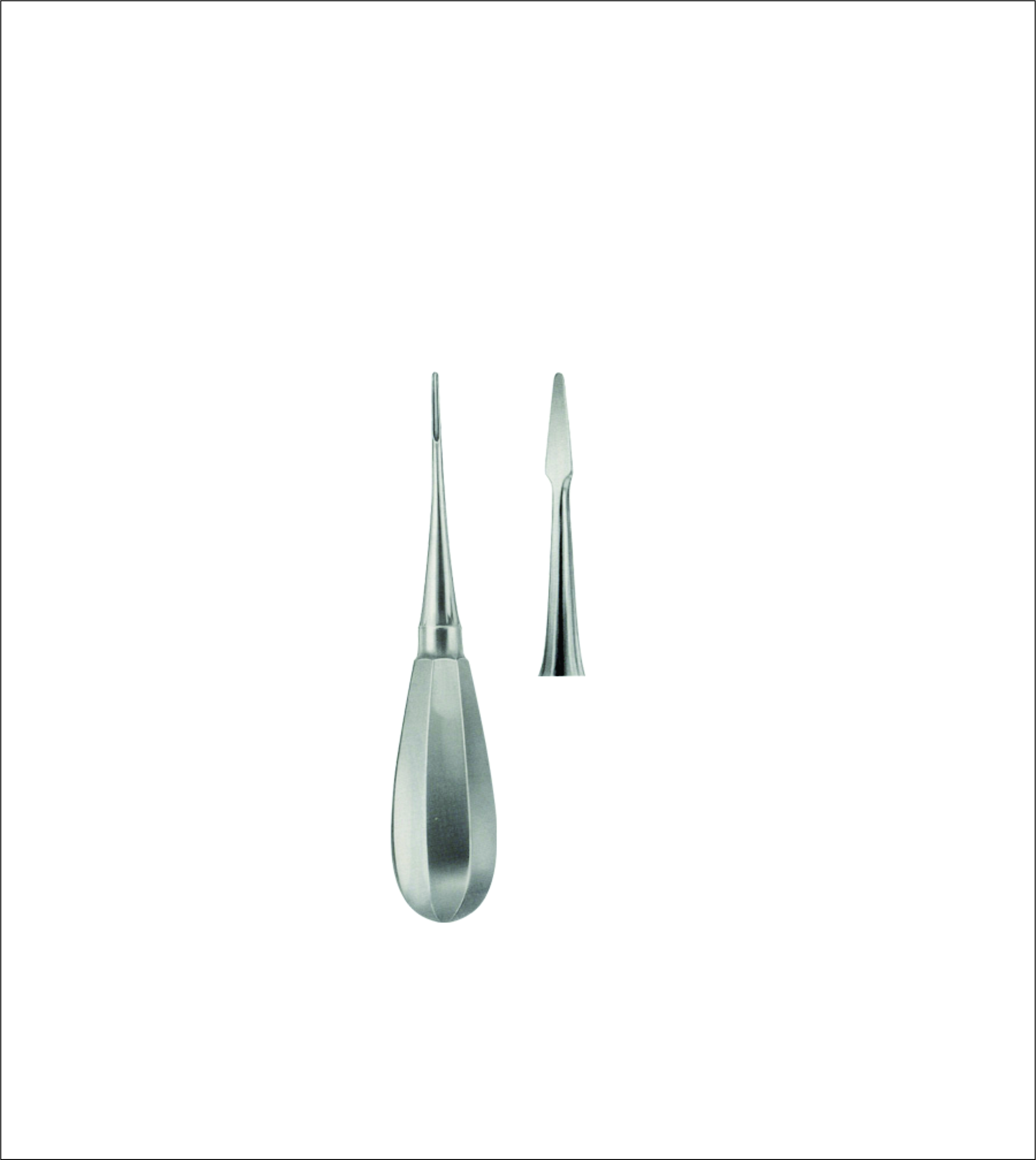 Dental Elevator