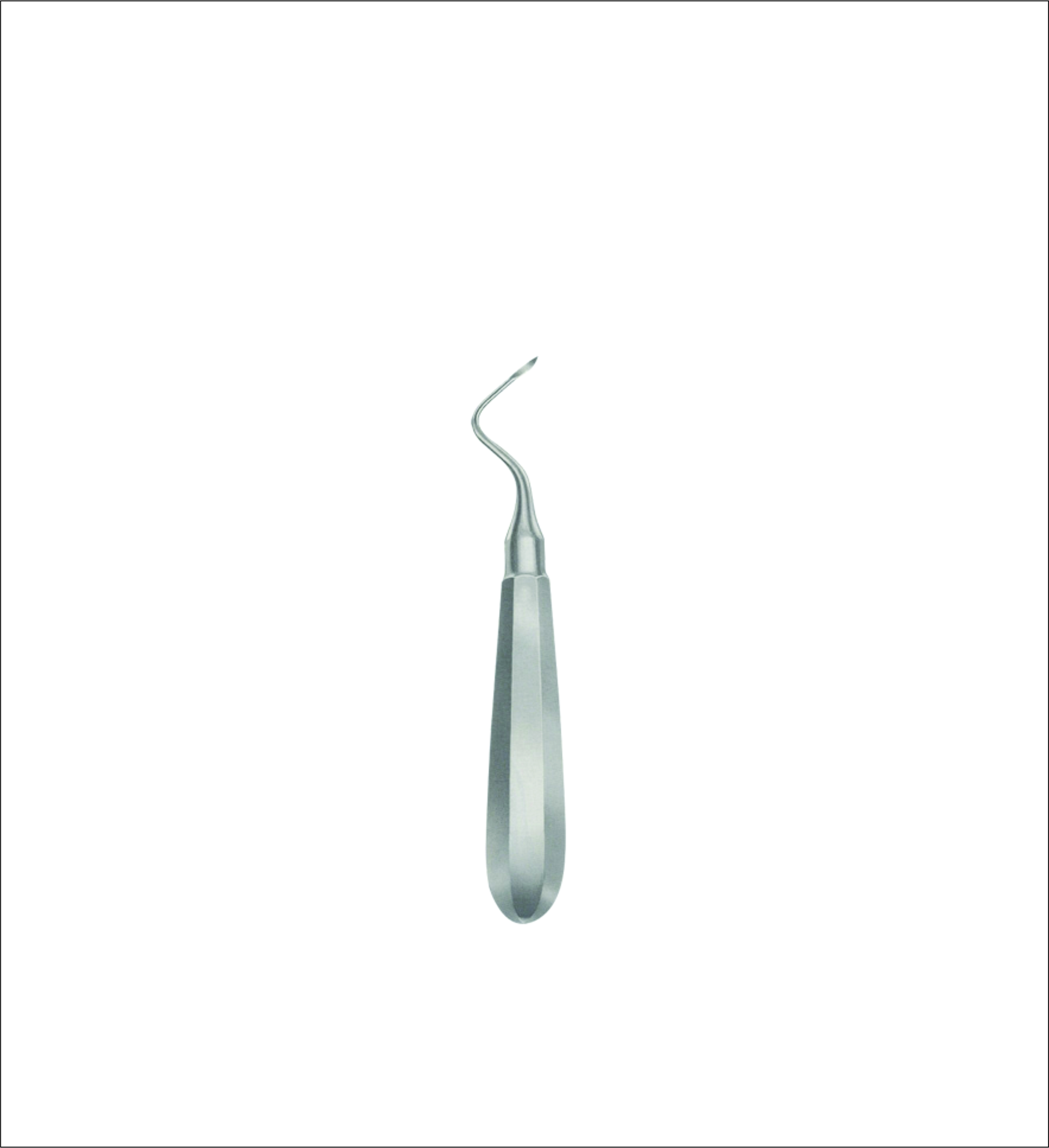 Dental Elevator