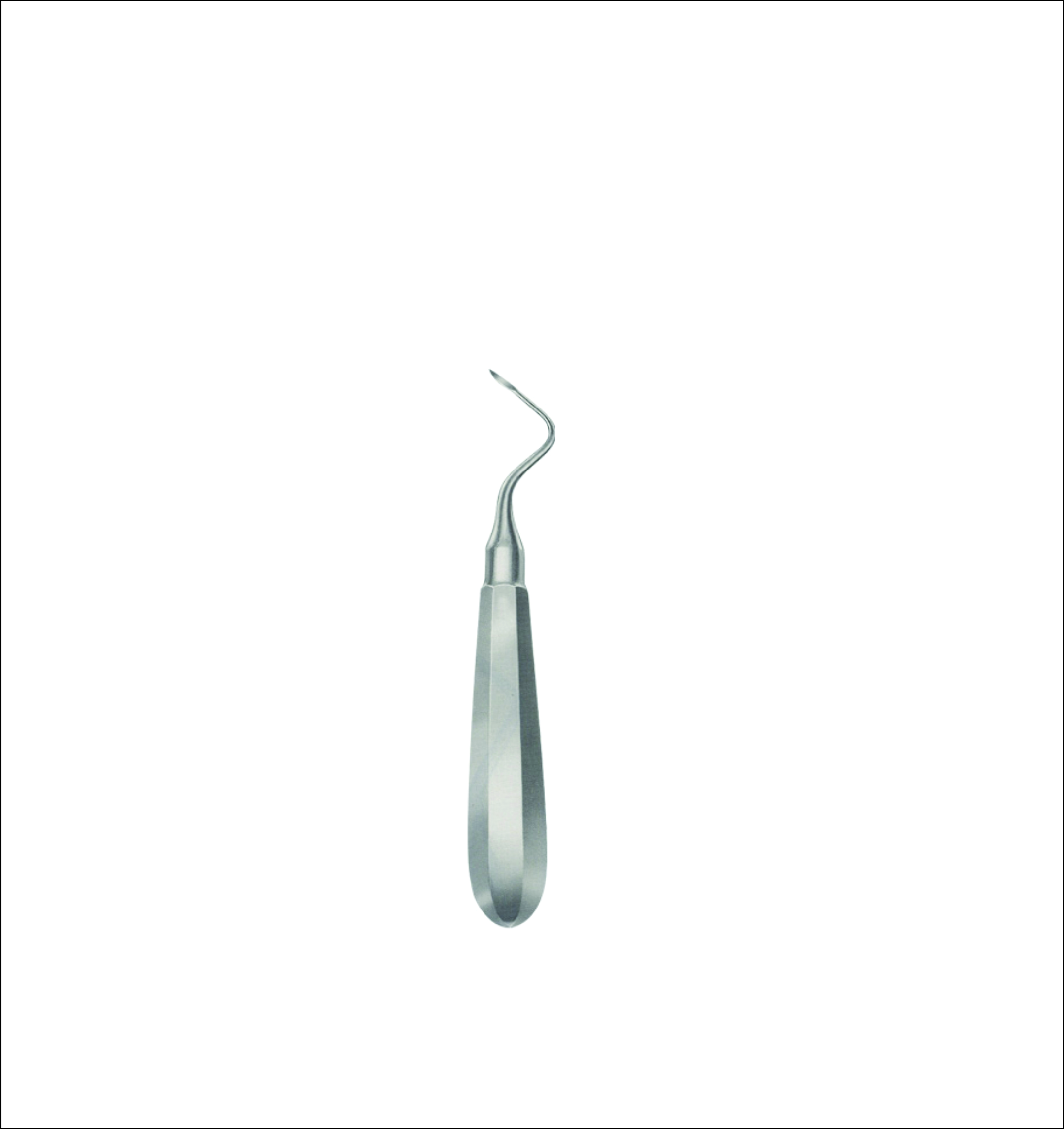 Dental Elevator