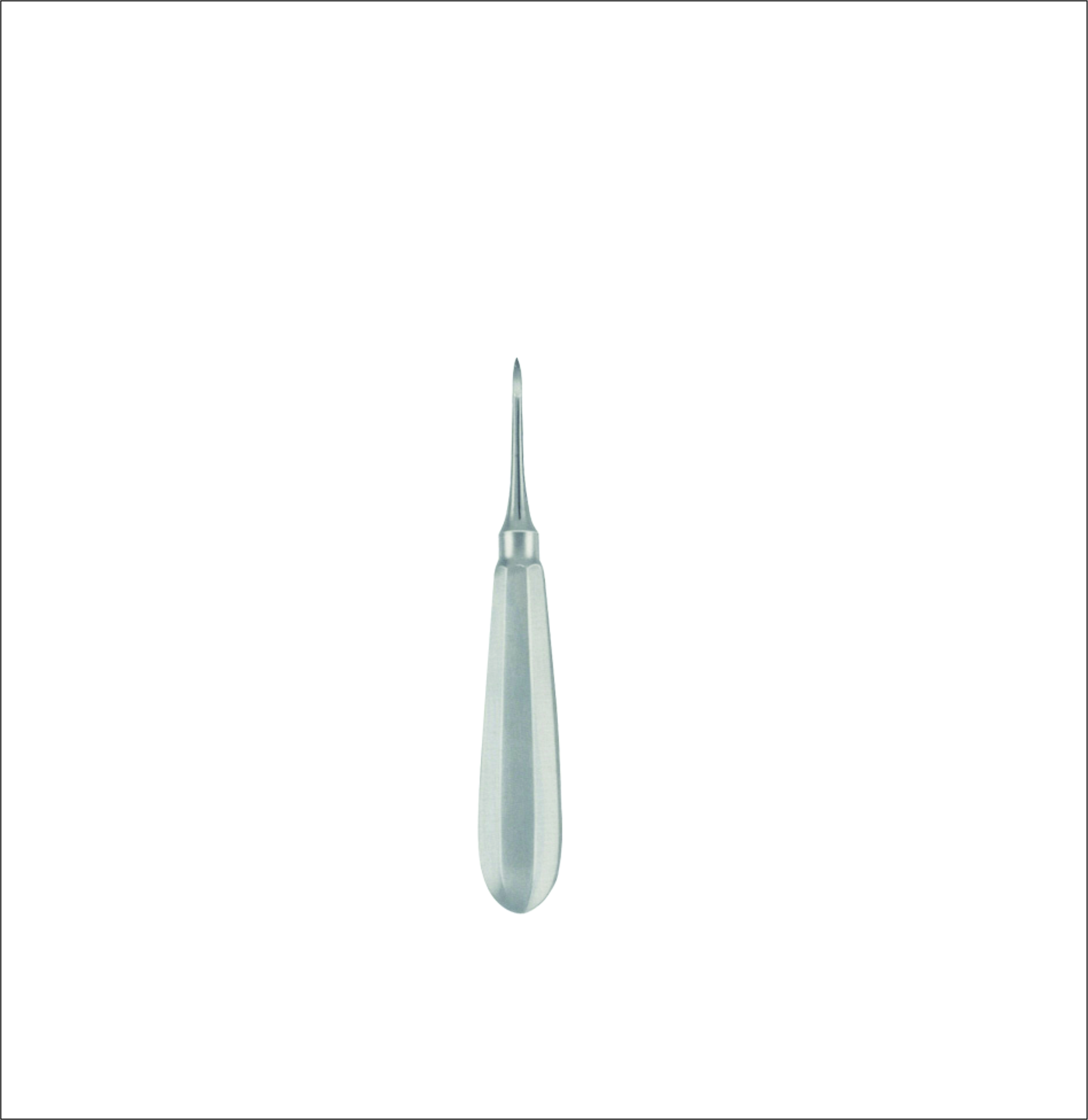 Dental Elevator