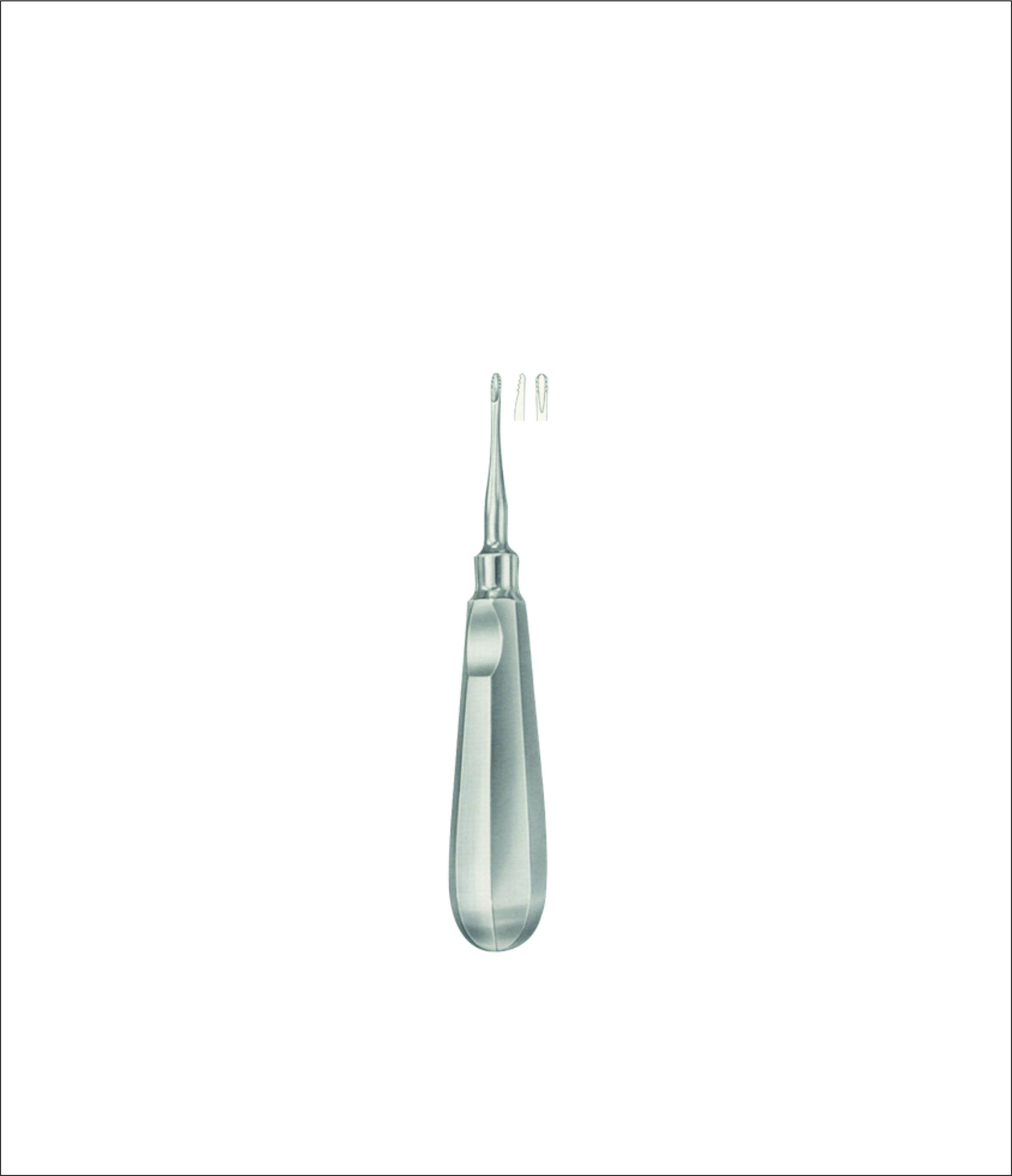 Dental Elevator