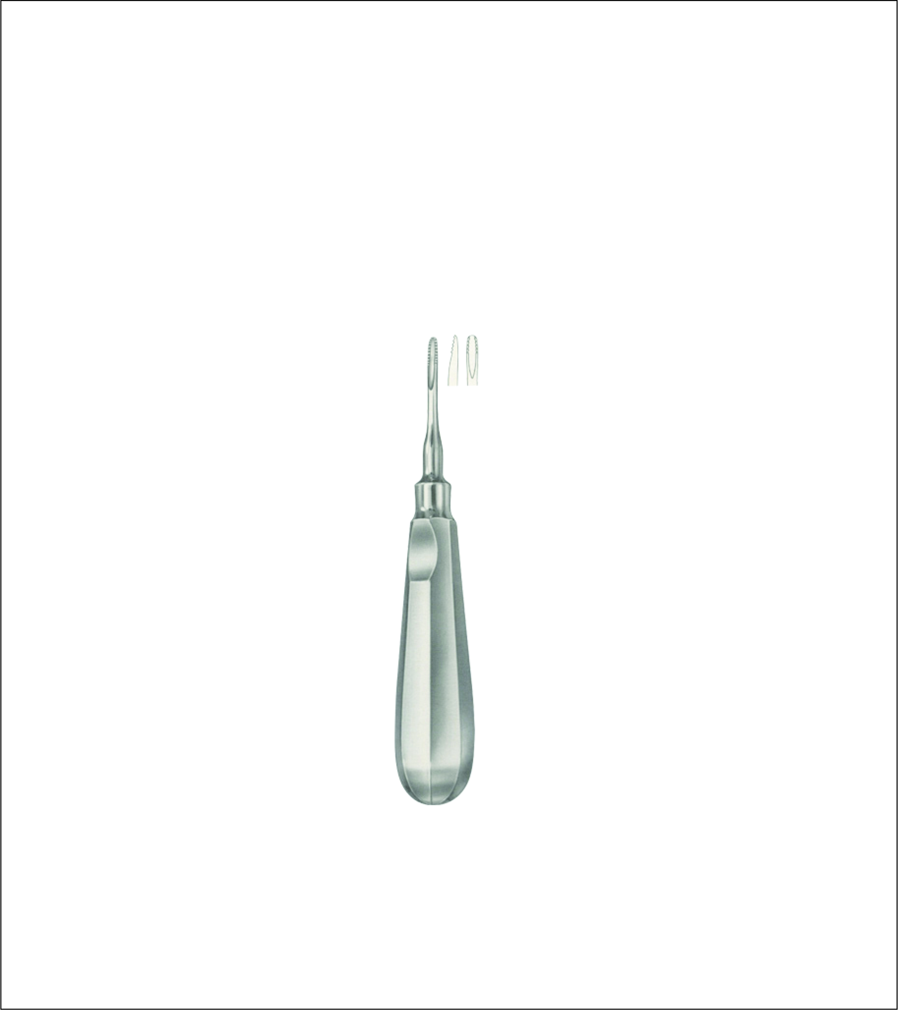 Dental Elevator