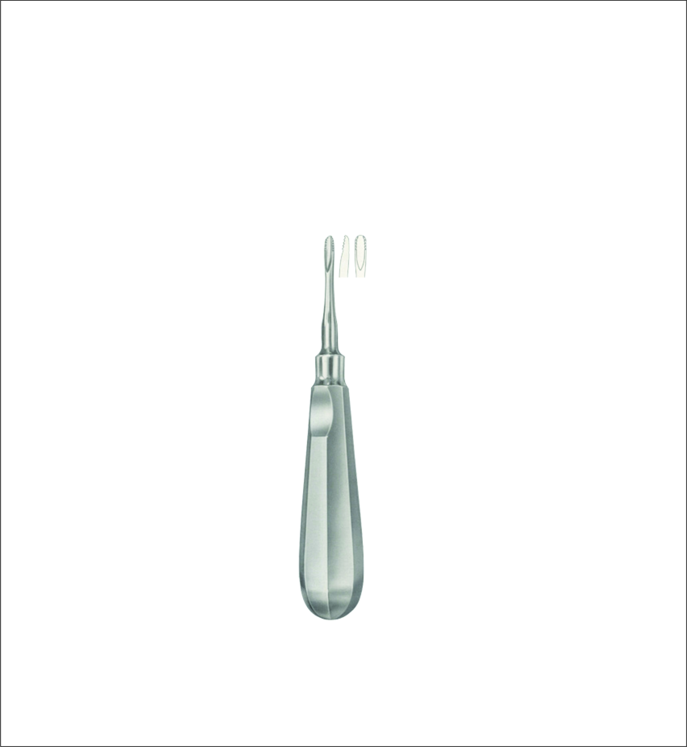Dental Elevator