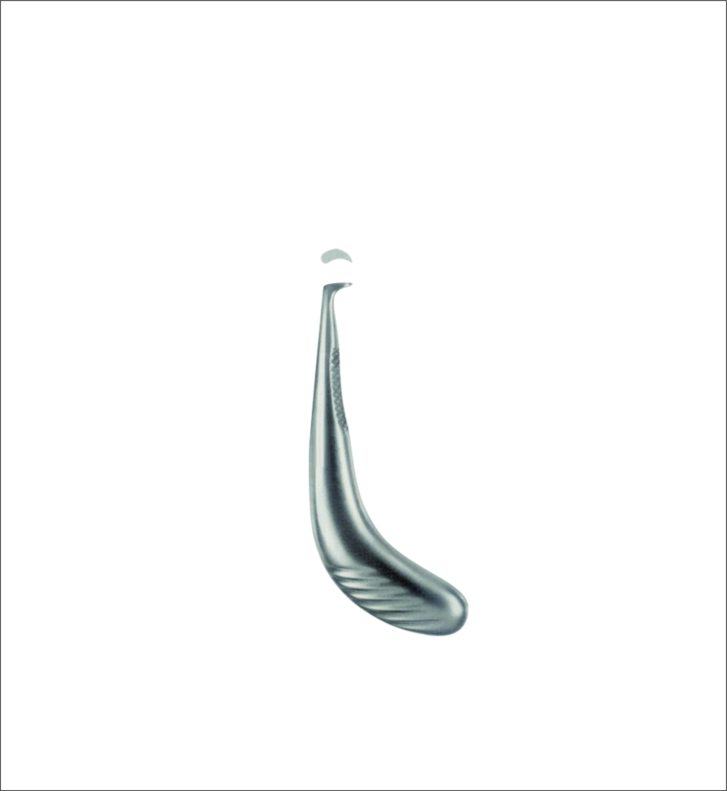 Dental Elevator