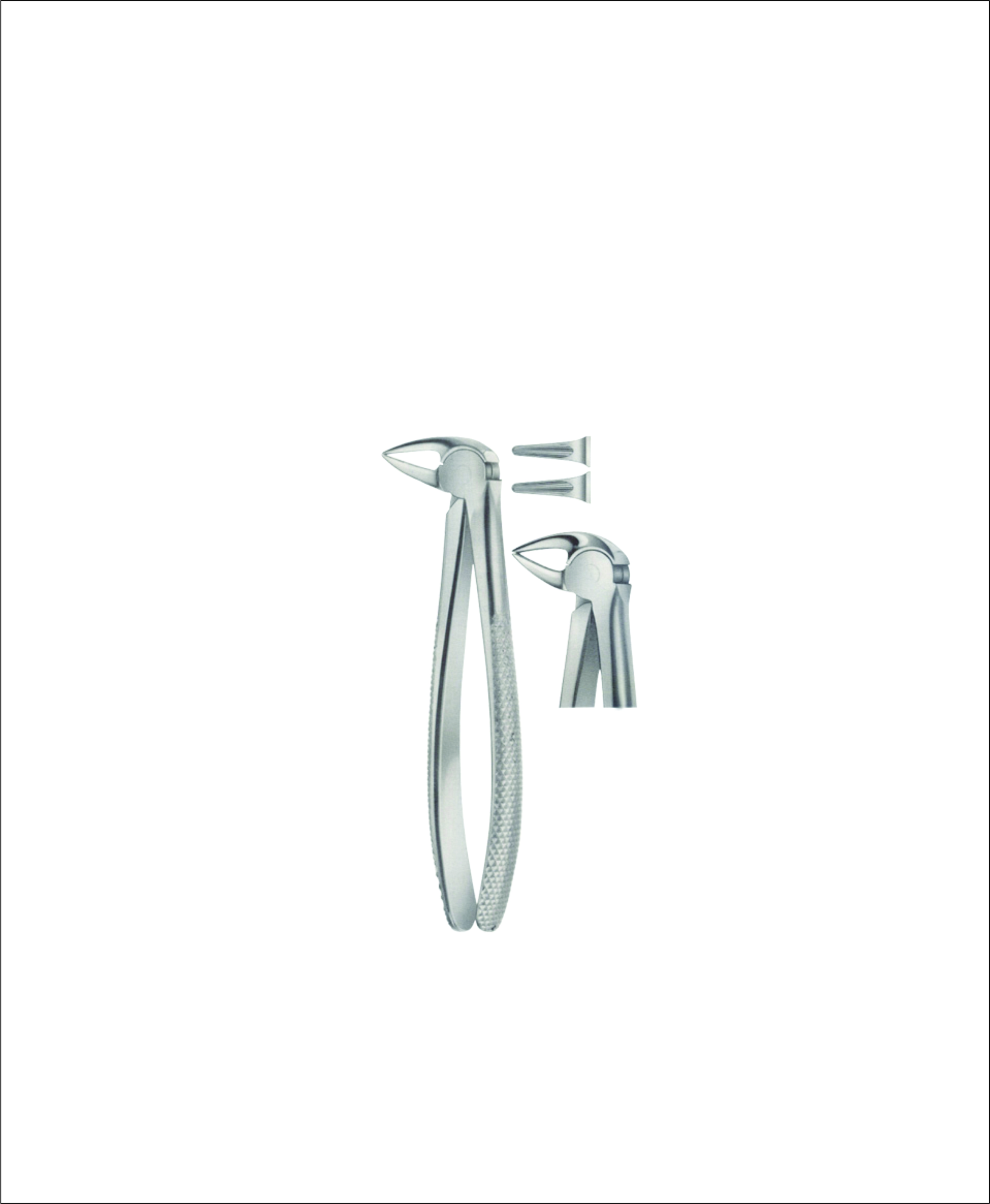 Lower Root Separating Extracting Forceps