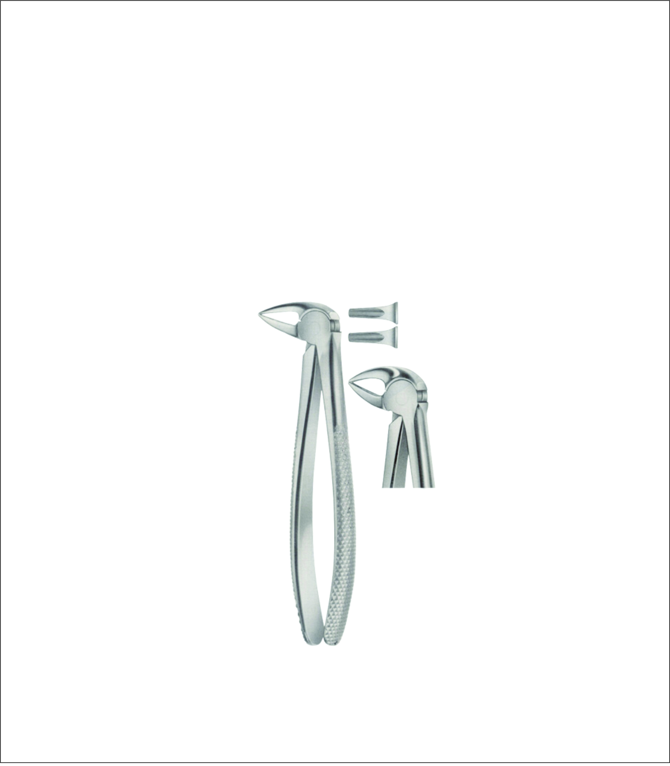 Lower Root Separating Extracting Forceps
