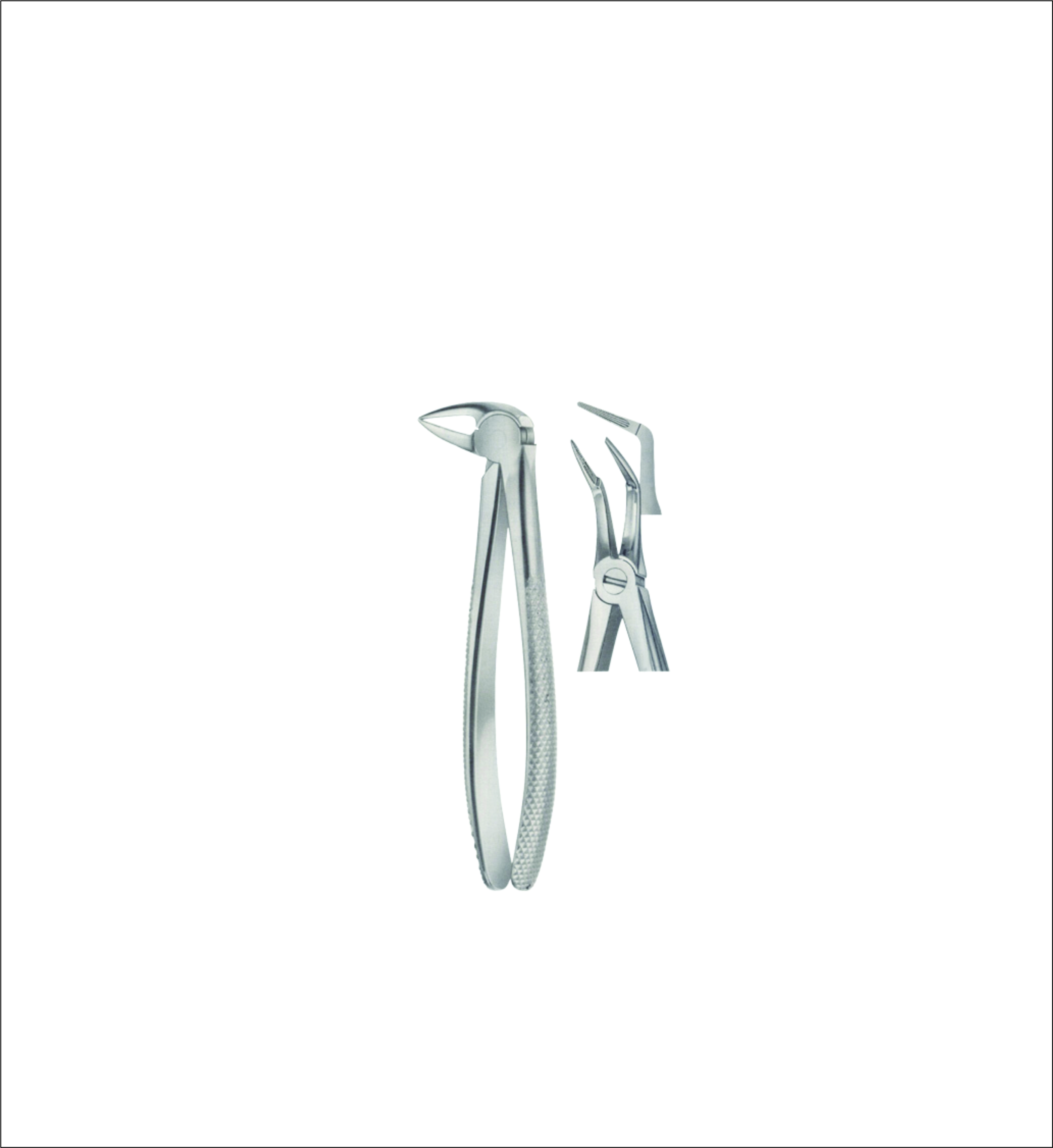 Lower Root Separating Tooth Forceps