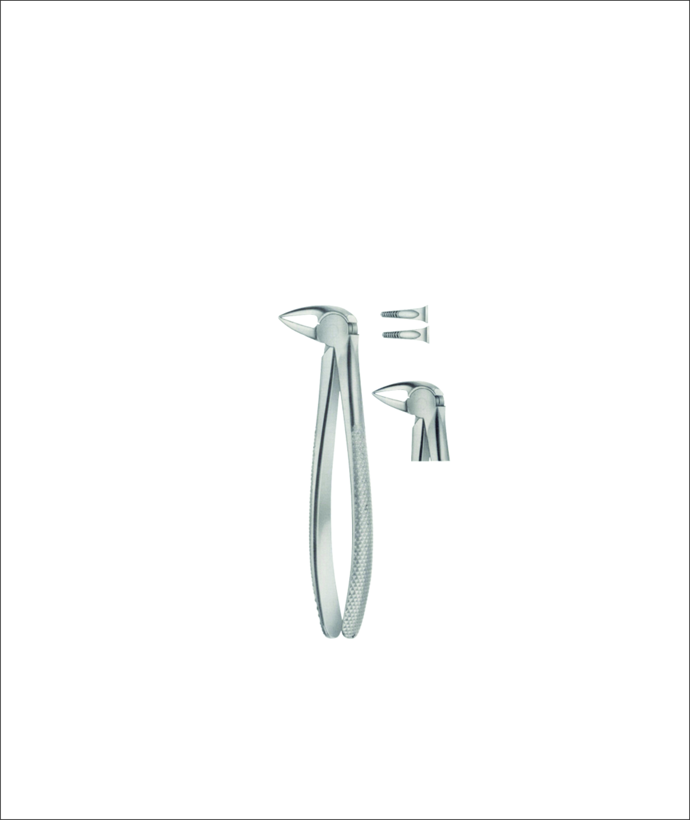 Lower Root Separating Tooth Forceps
