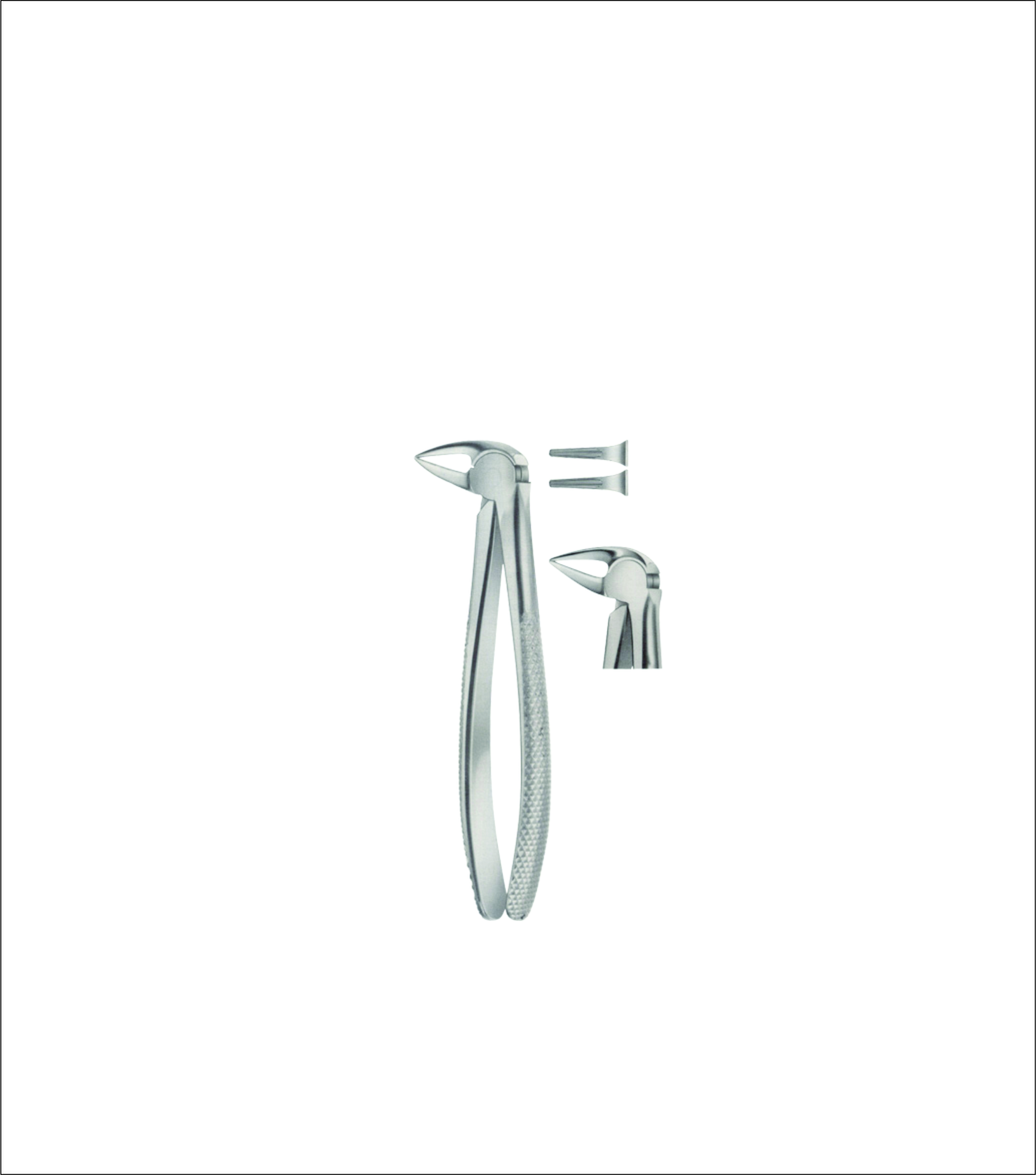 Lower Root Separating Tooth Forceps