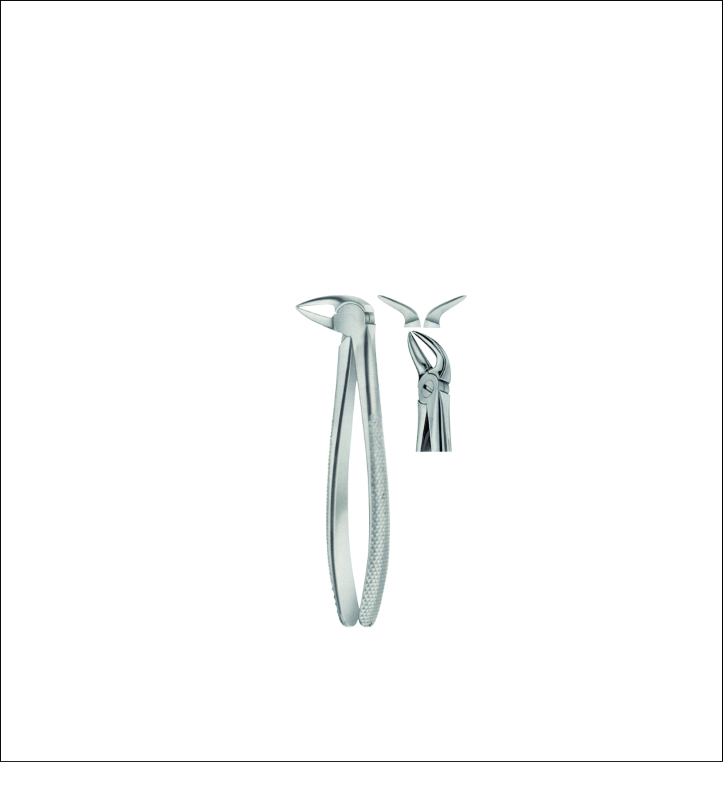 Lower Root Separating Tooth Forceps