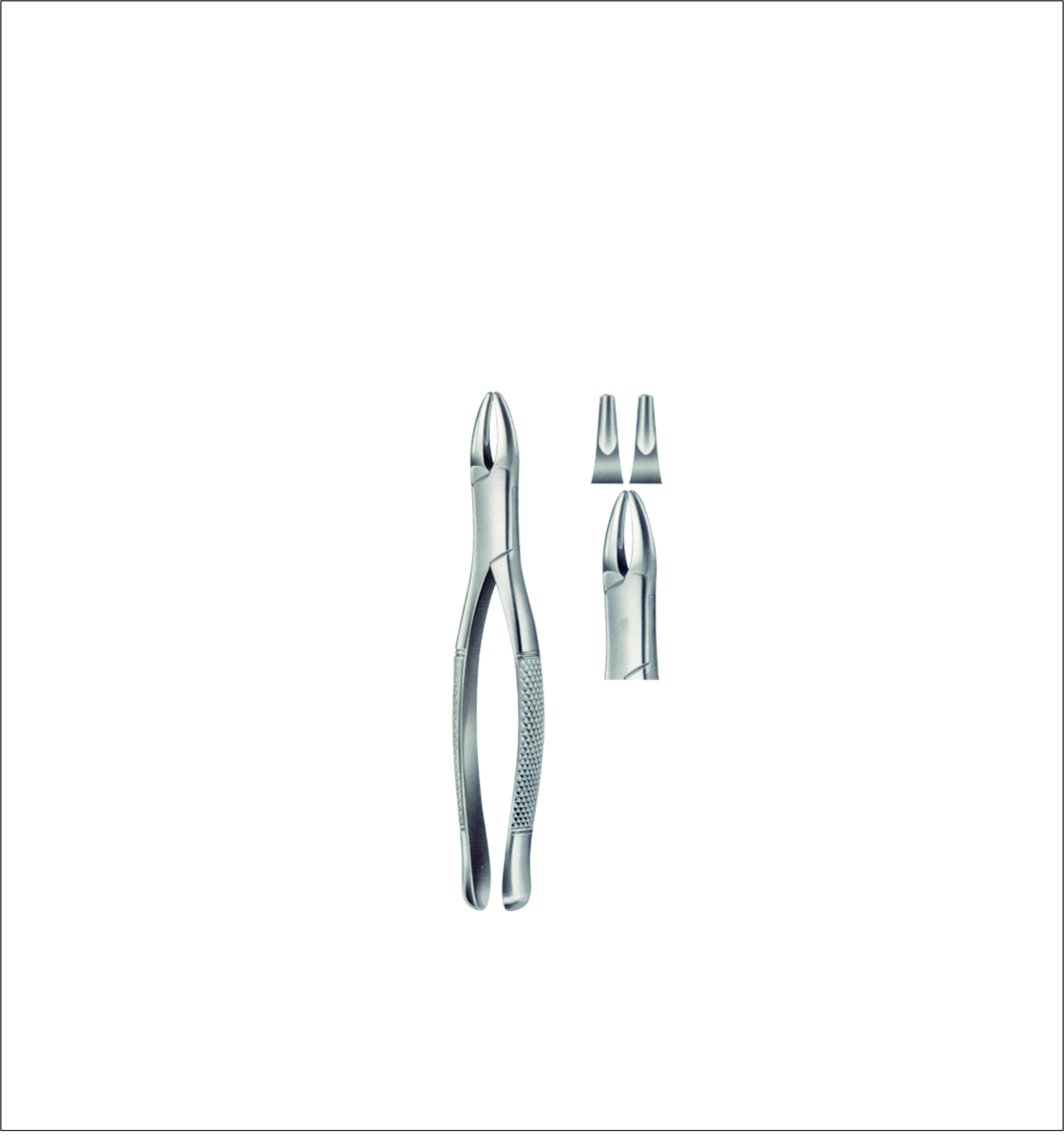 Lower Root Separating Tooth Forceps