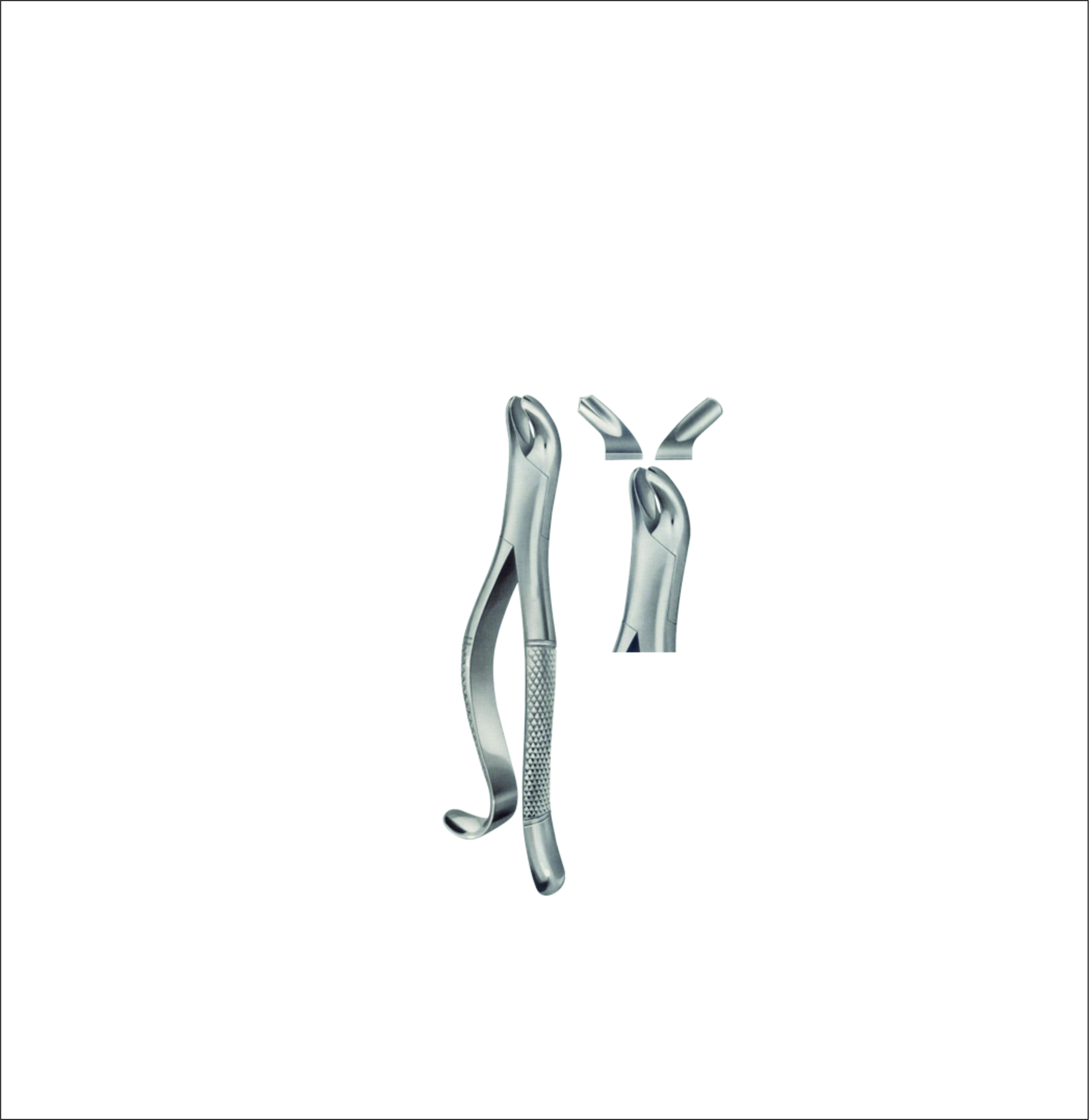Upper Molar Tooth Forceps – American Pattern