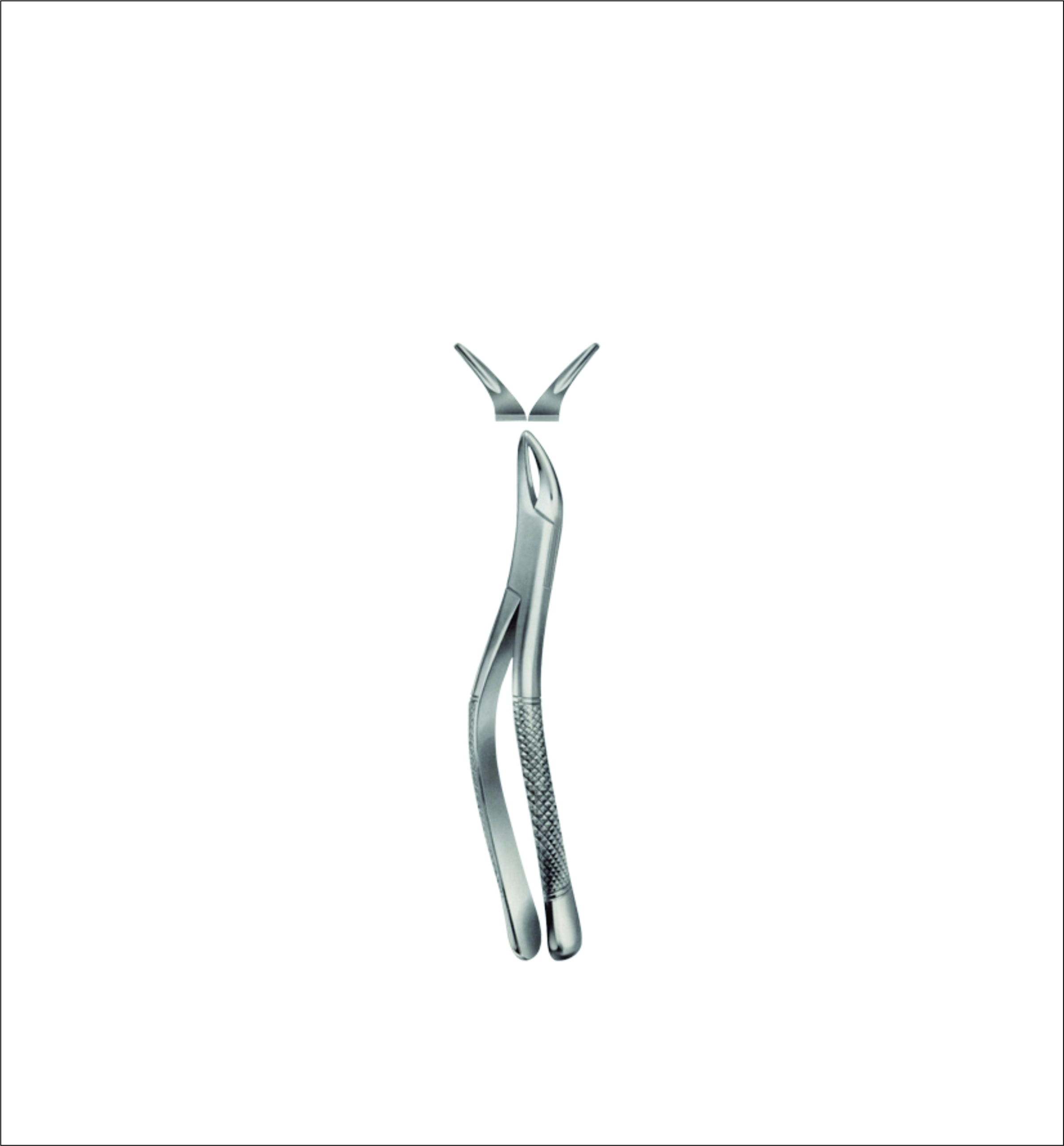 Upper Root & Bicuspid Tooth Forceps – American Pattern