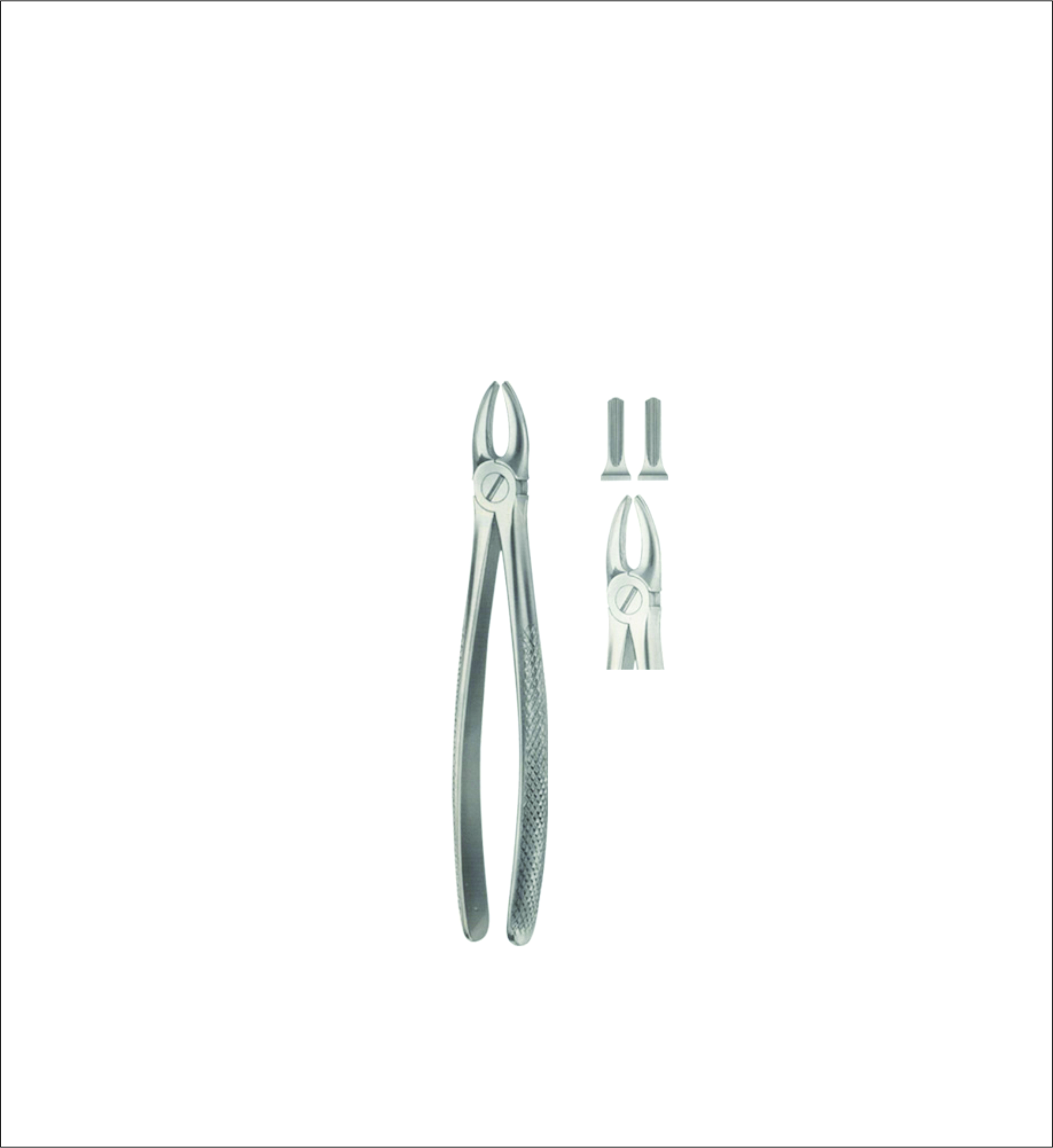 Upper Incisor & Canine Tooth Forceps