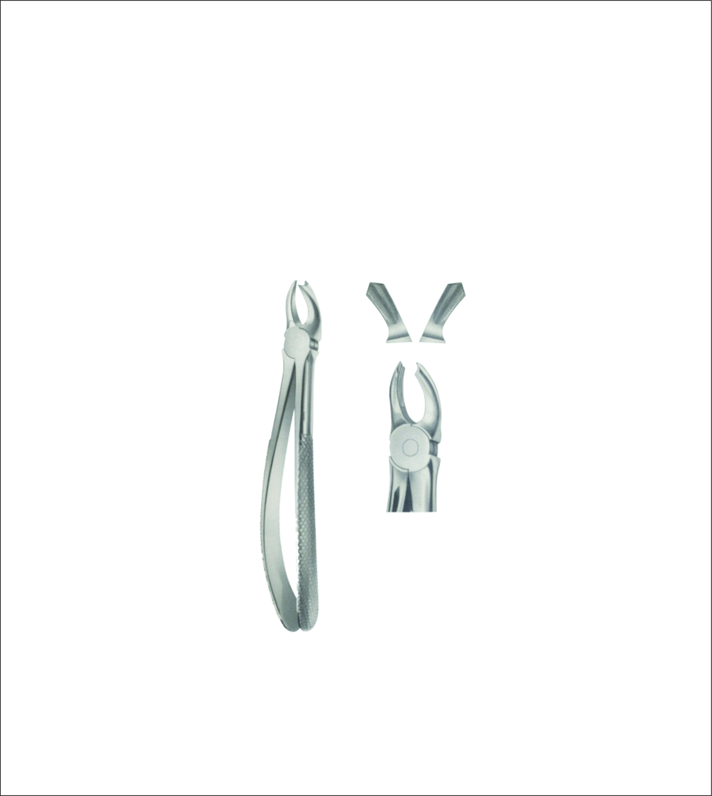 Upper Molar Extracting Forceps – English Pattern