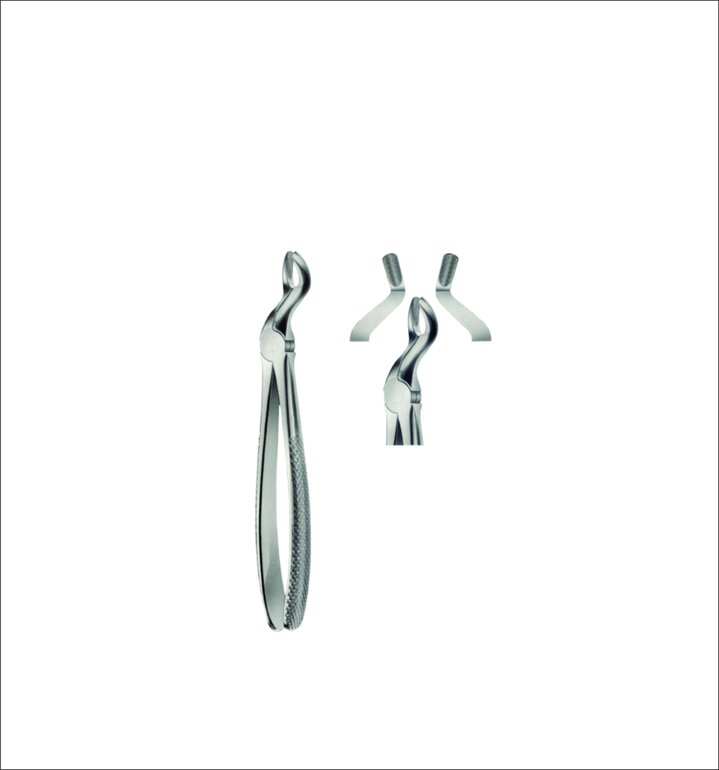 Upper Wisdom Tooth Extracting Forceps – English Pattern