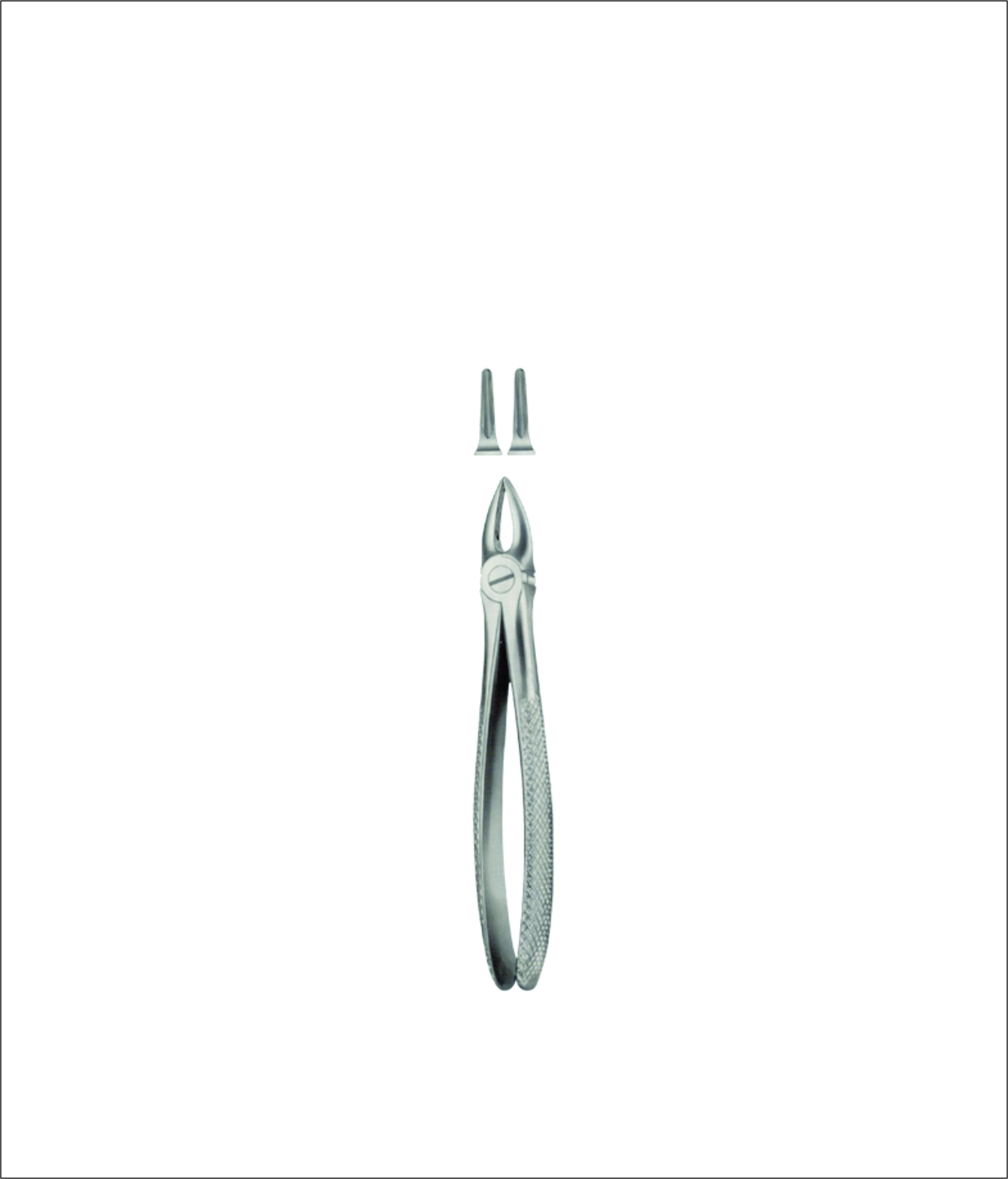 Upper Root Extracting Forceps – English Pattern